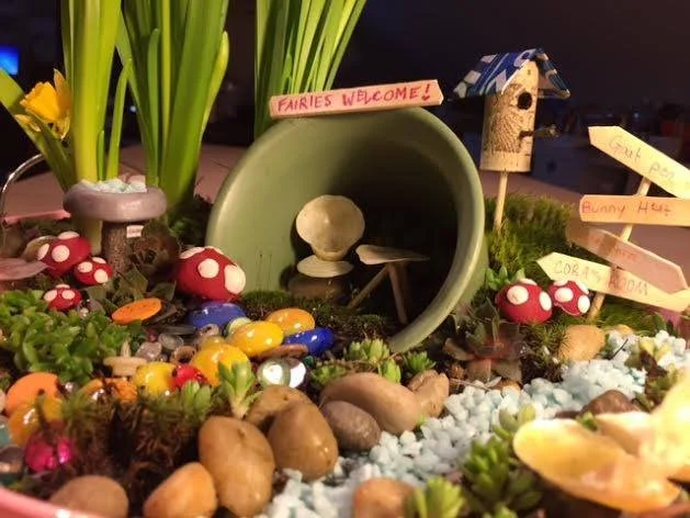fairy garden 2.jpg