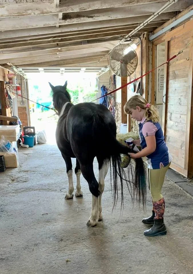 THURSDAYS:  Ponies in Spring! Early Pony Love March 5-April 9 from 4-6pm