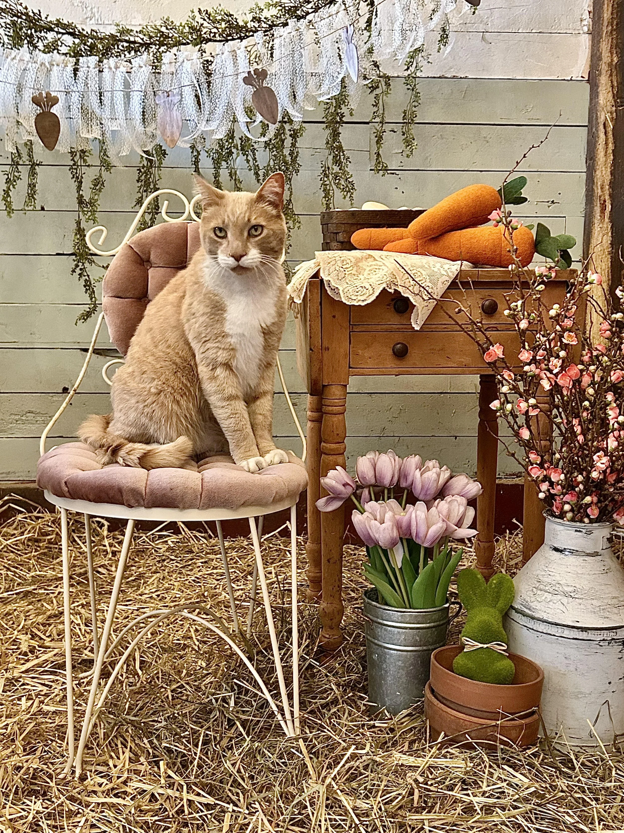 Family Easter Egg Hunt Saturday, April 4 from 10am-noon