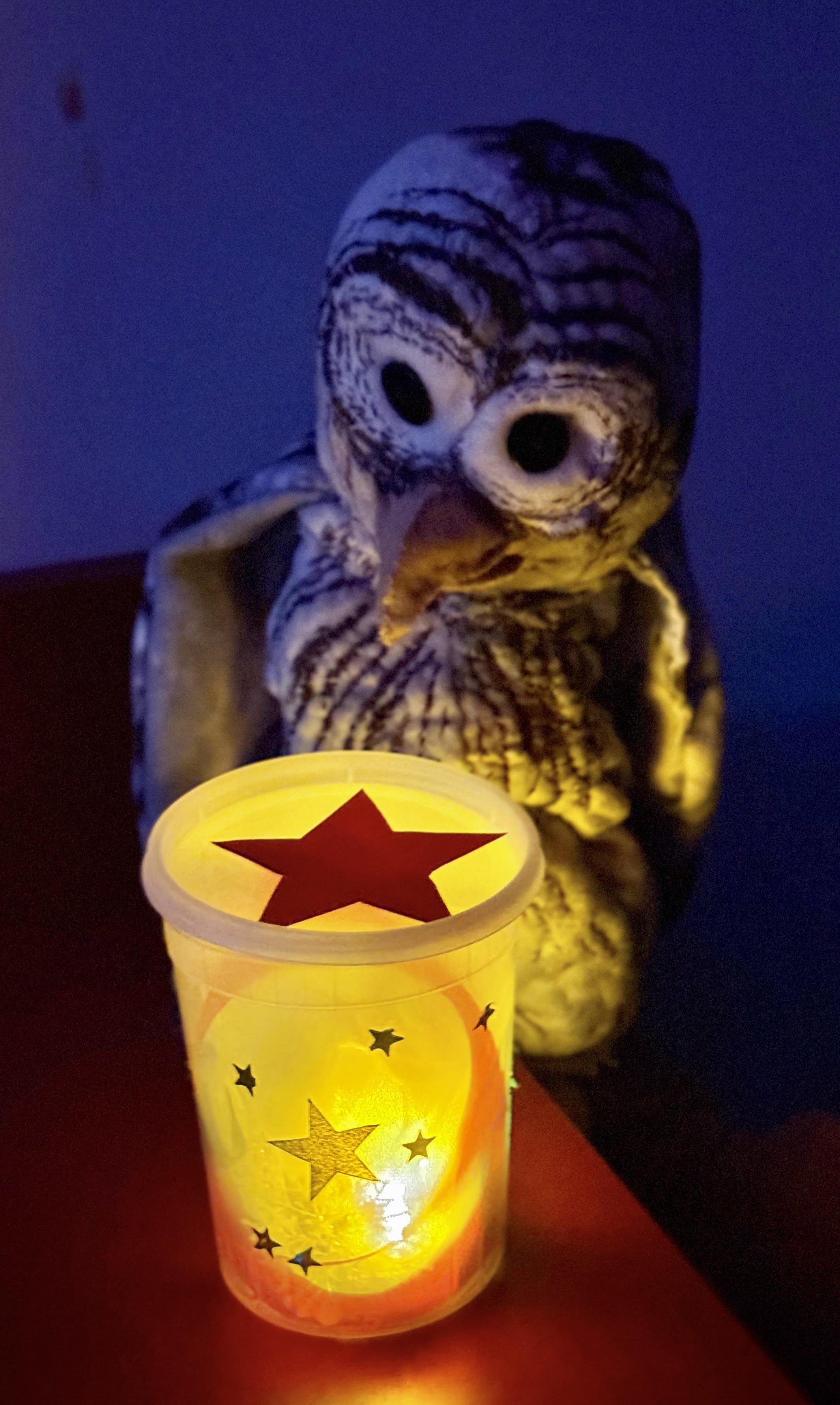 Night Flight by Moonlight Pollinator Puppet Show Friday, September 25 at 6:30 FREE TO THE PUBLIC
