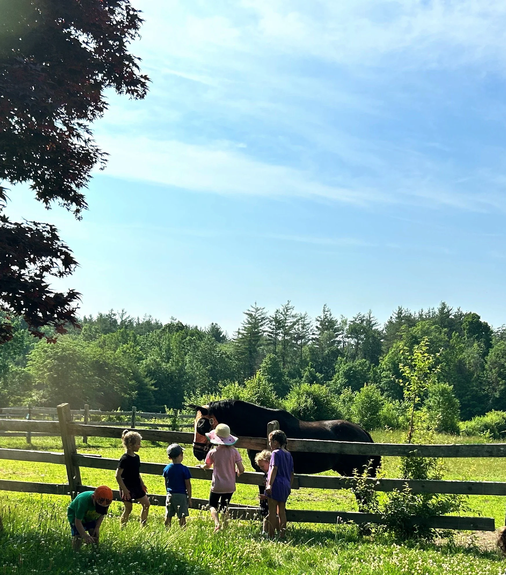 Gilbert and kids at fence.jpg