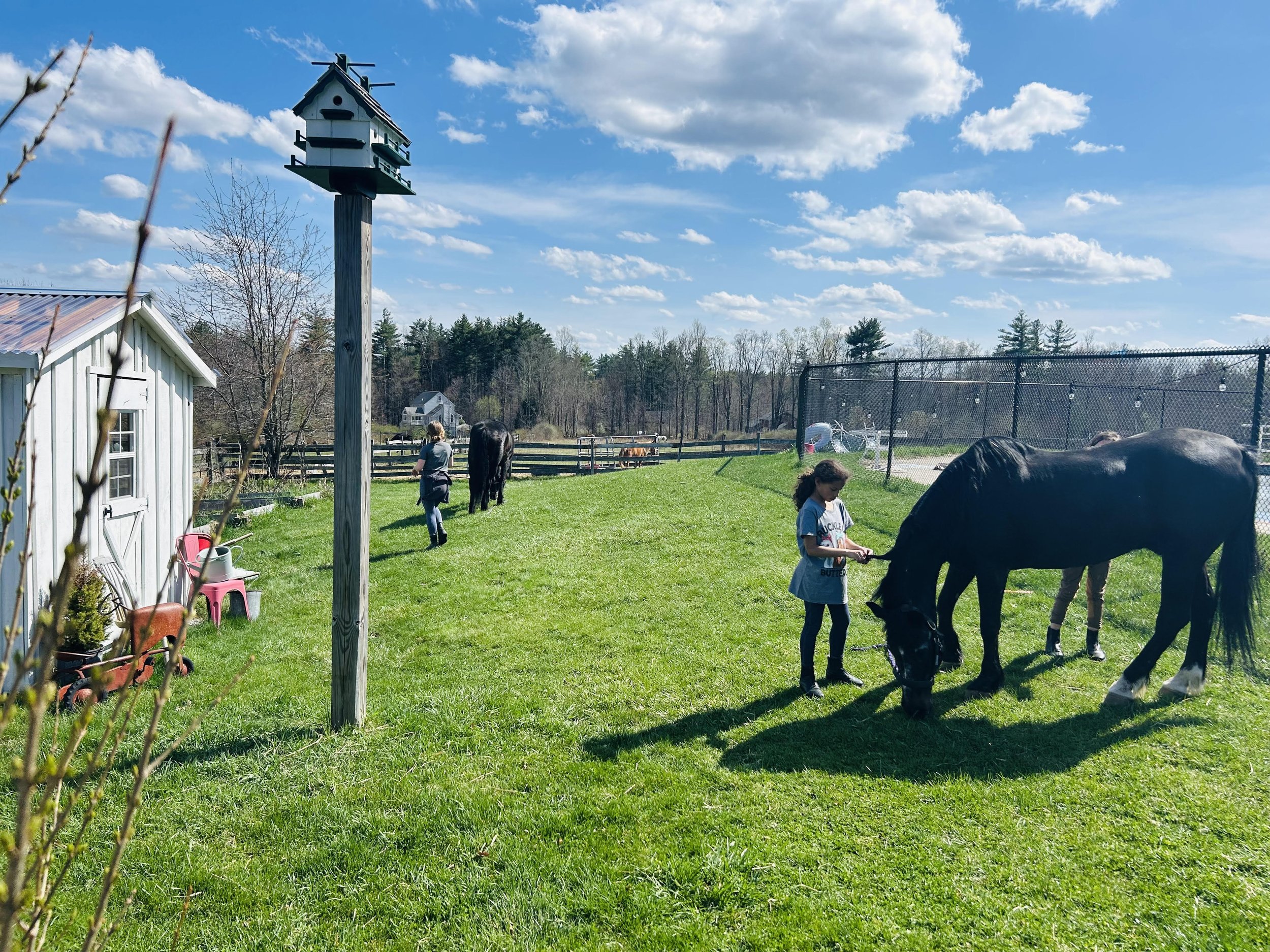 April Vacation fun.jpg