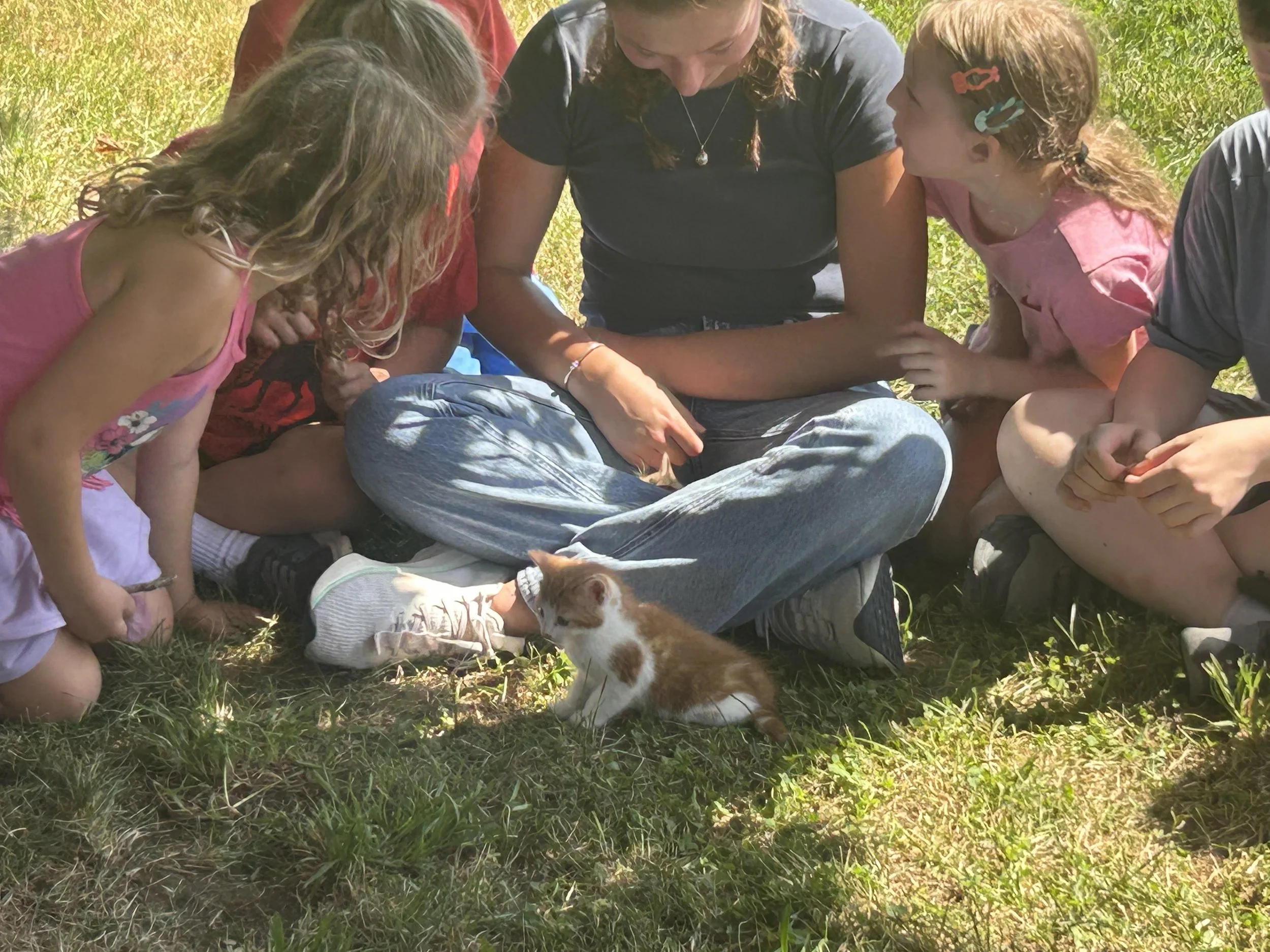 Alex and kittens.jpg