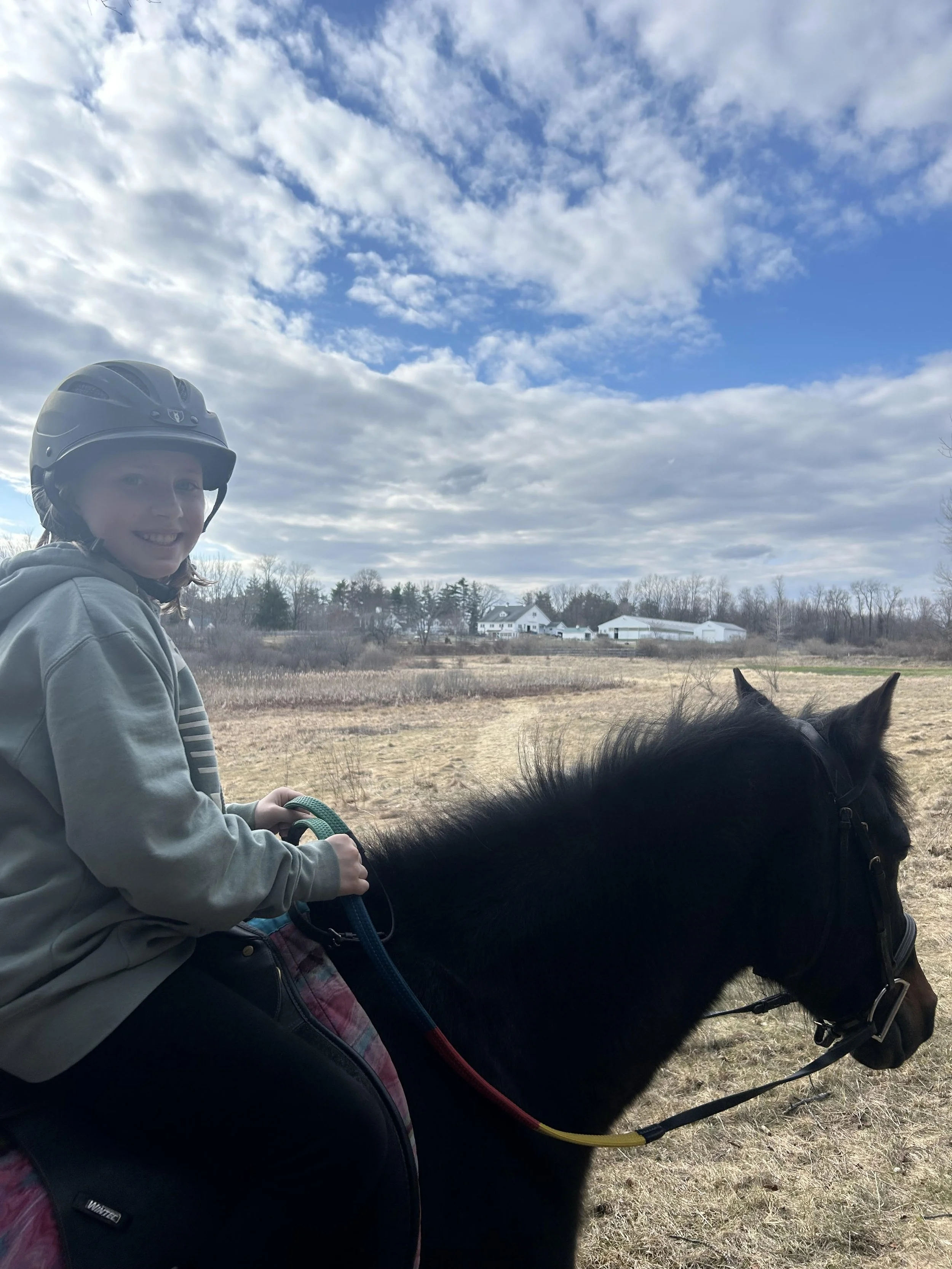 SATURDAYS: Ponies in Spring! Early Springtime Pony Love February 28-April 11 10am-noon