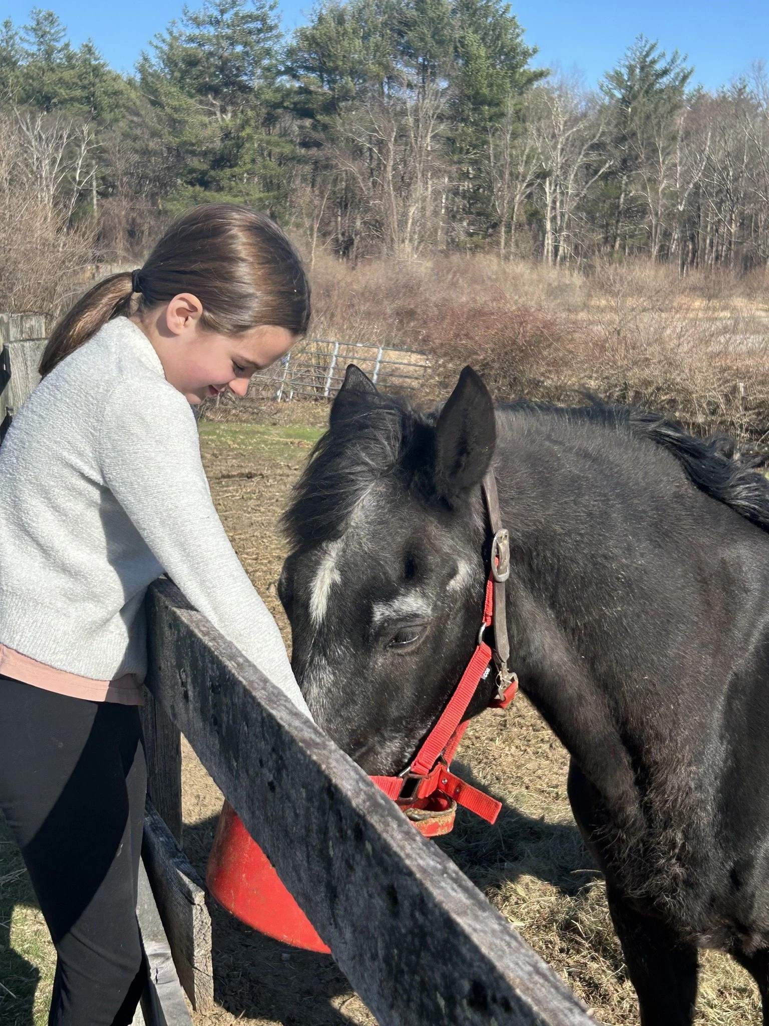 Cozy-Up with Pony Love! LATE FALL SESSION MONDAY October 26-November 30 from 4-6pm