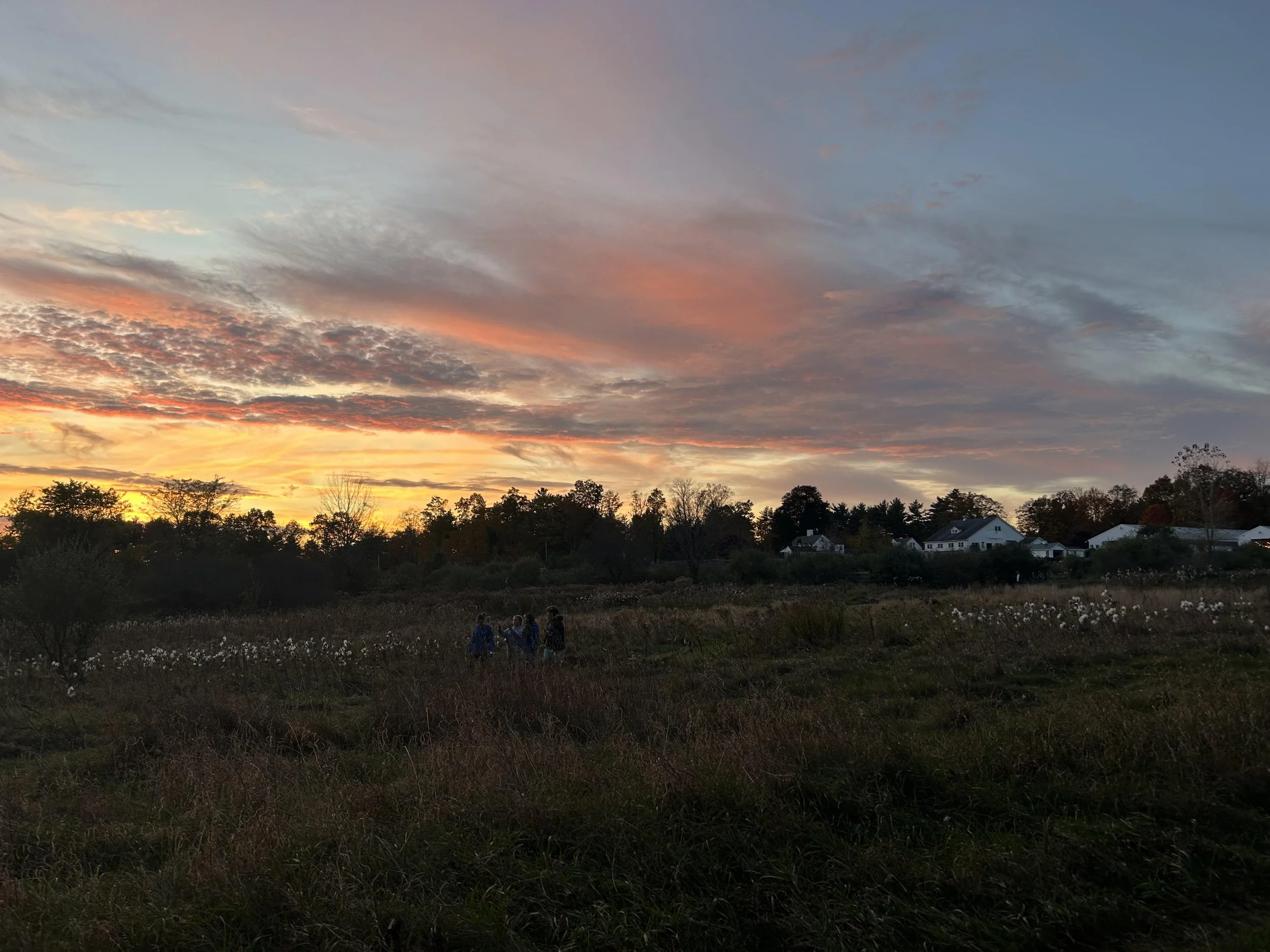 Fall walk.jpg
