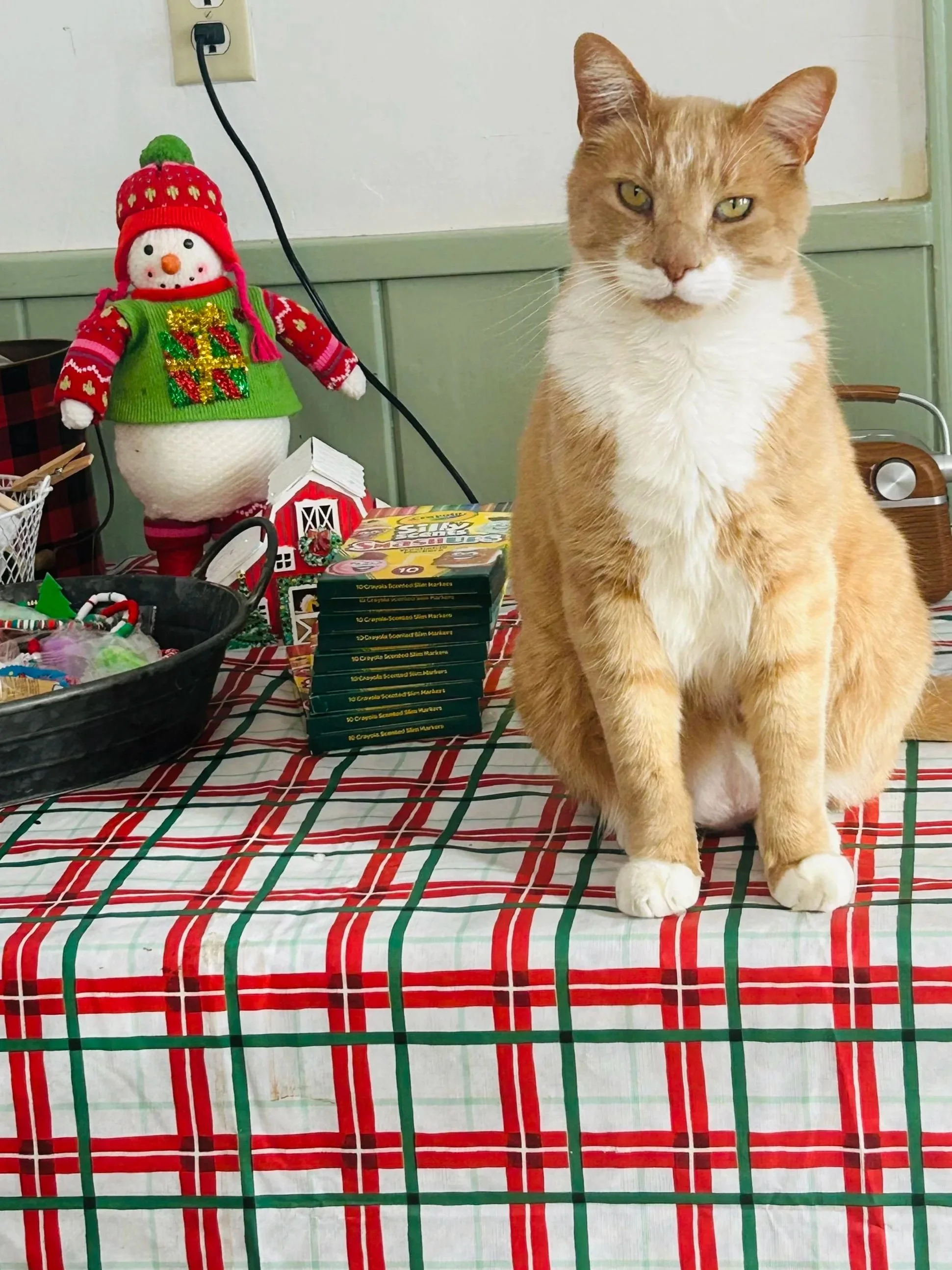Winter leo in cottage.jpg