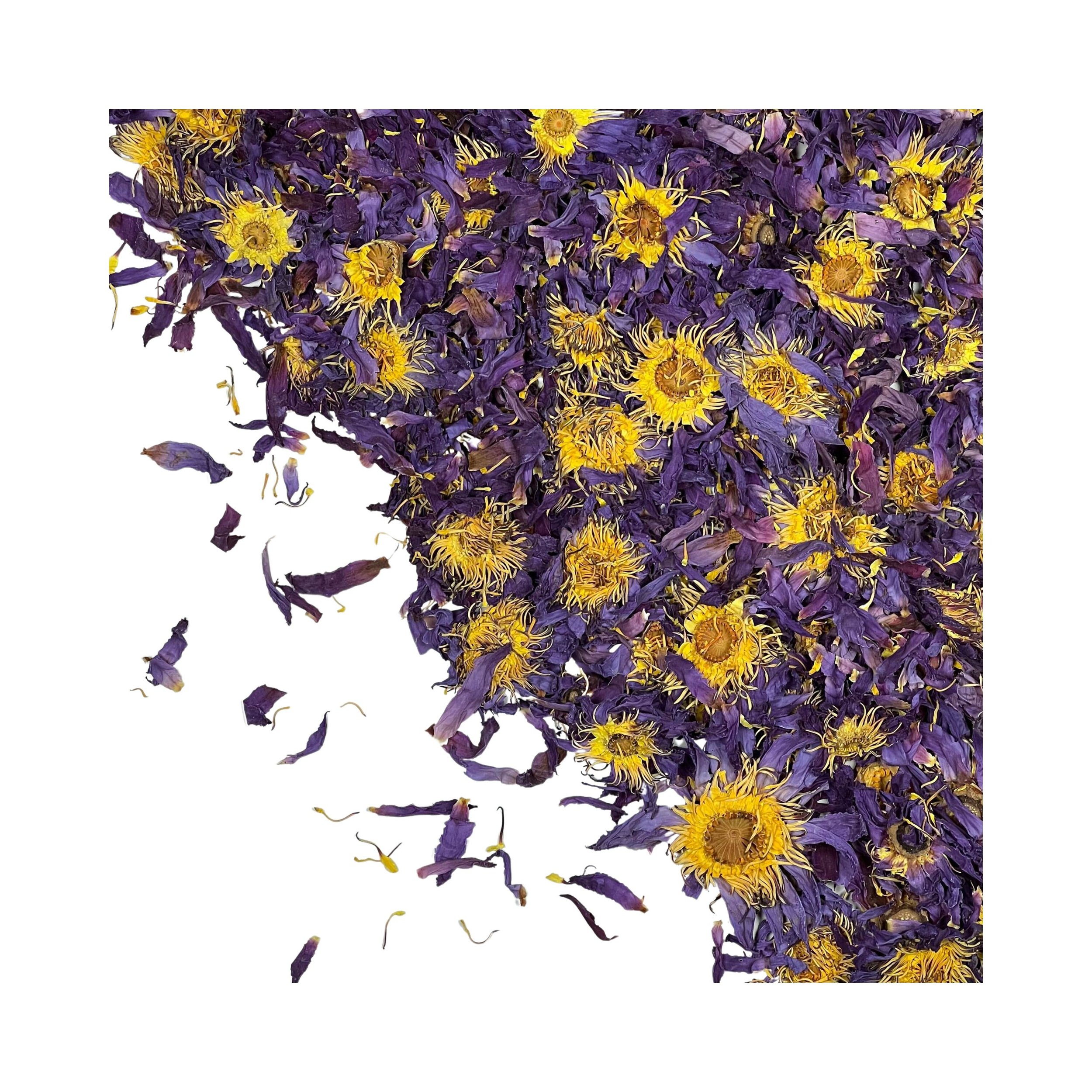https://i.etsystatic.com/28444687/r/il/d12eab/5480501553/il_fullxfull.5480501553_s1oh.jpg