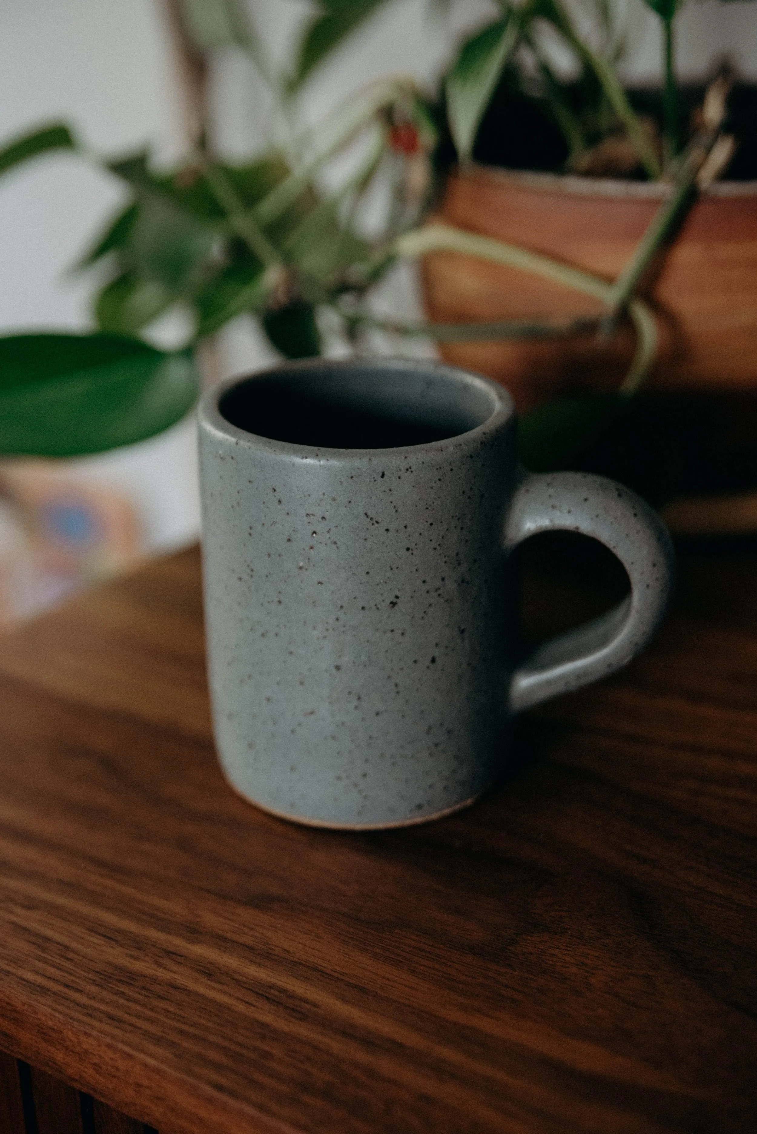 Garden Club BFCM 2025-22.jpg