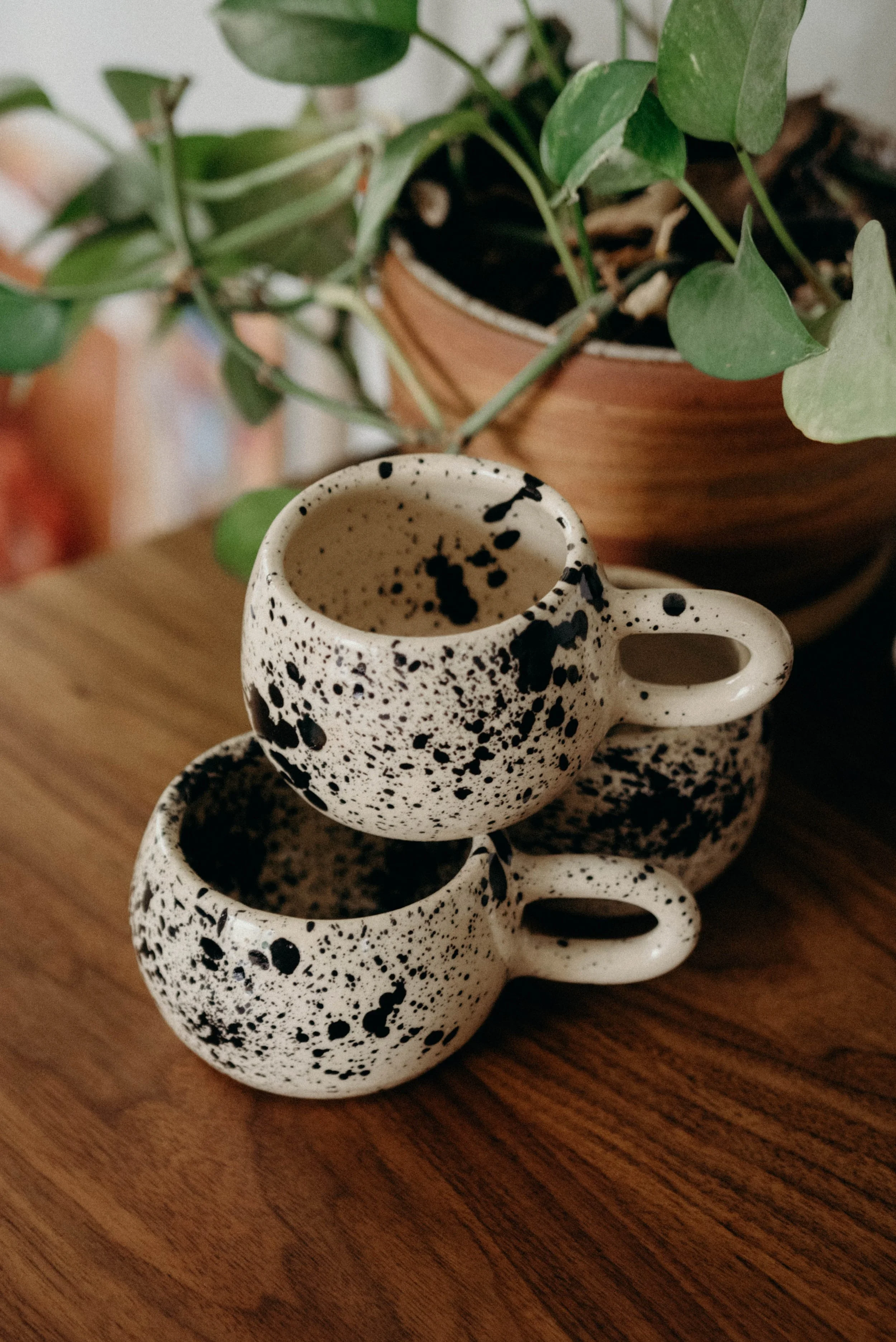 Garden Club BFCM 2025-1.jpg