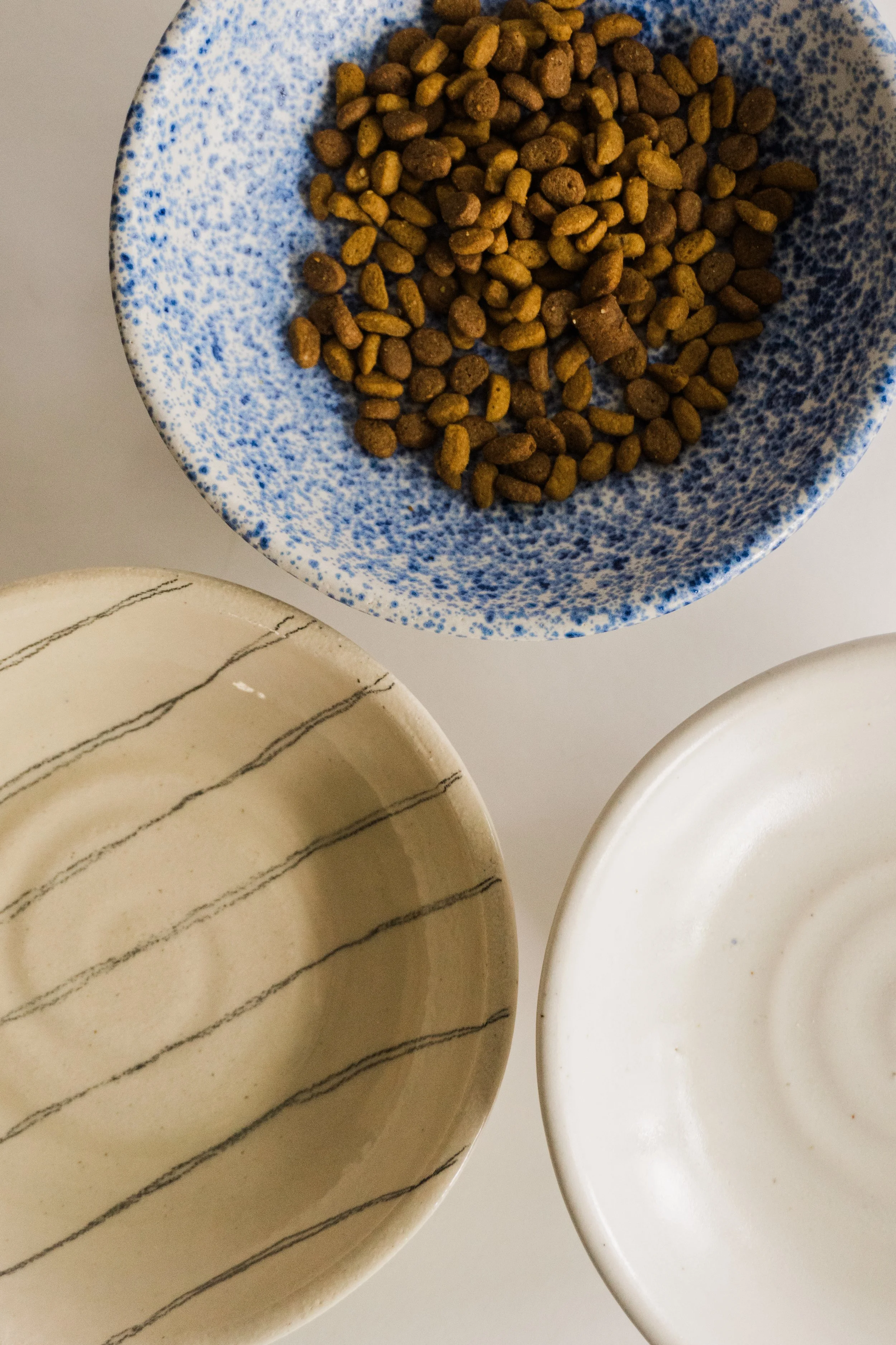 Ceramic Cat Dish-25.jpg