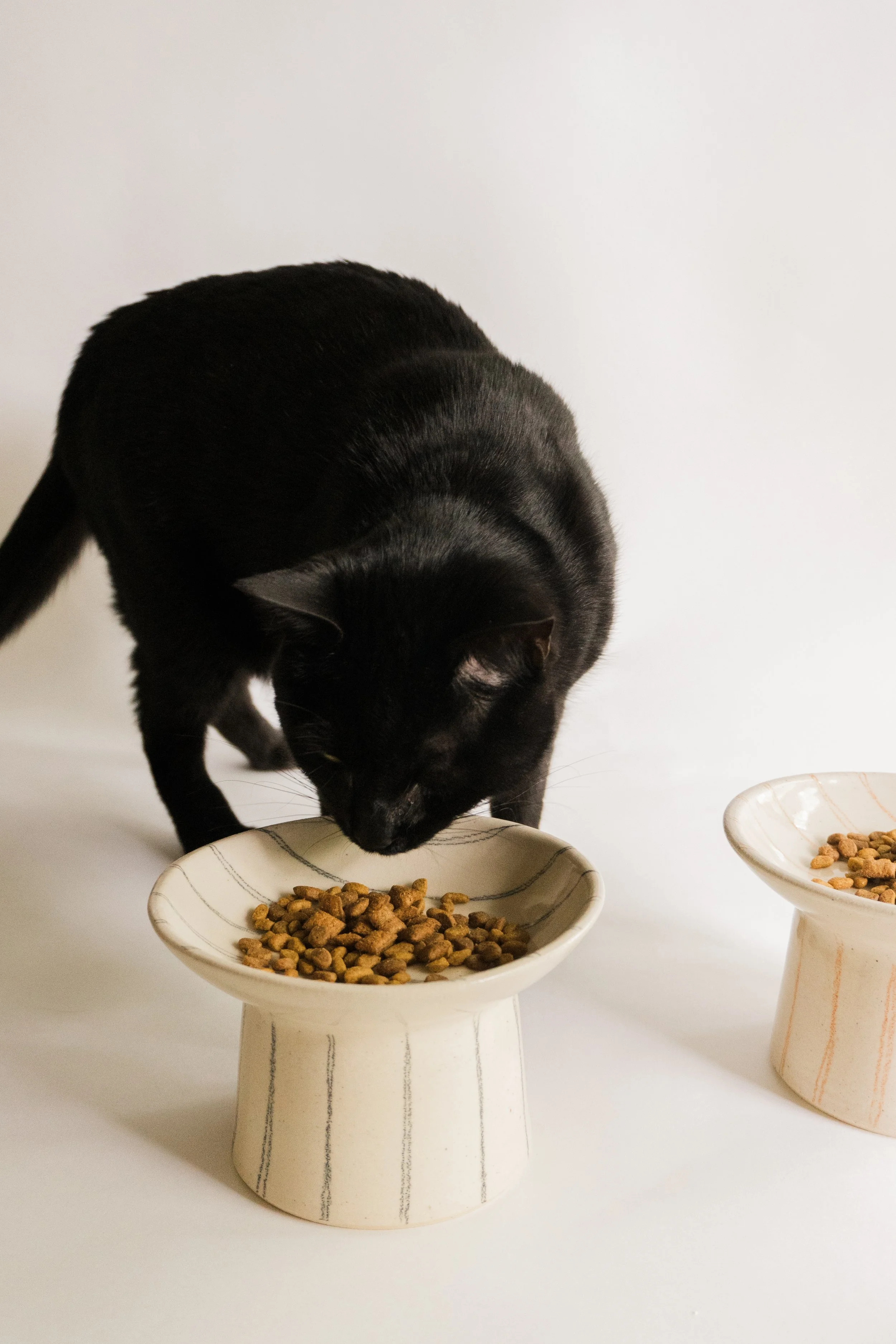 Ceramic Cat Dish-4.jpg