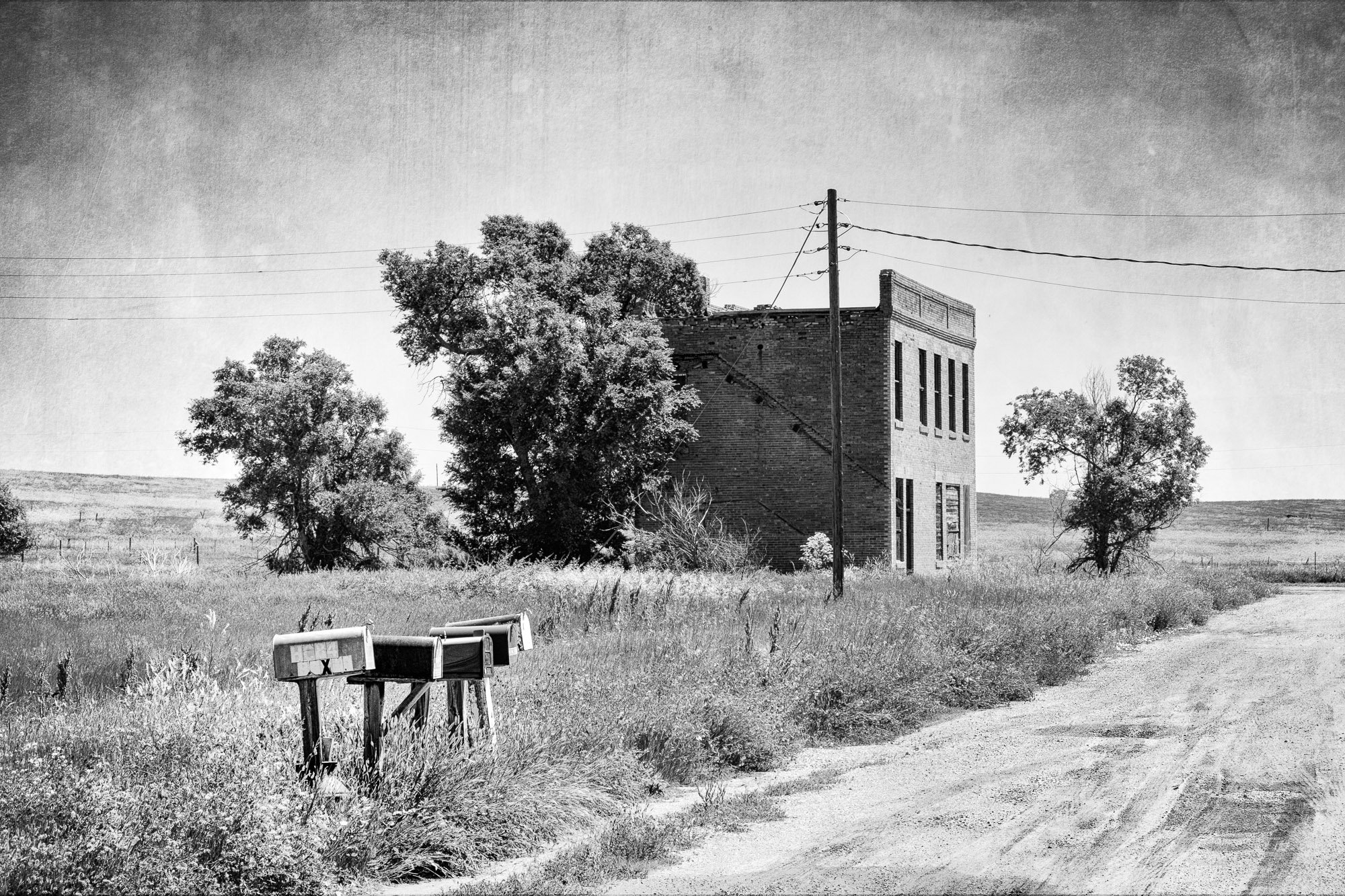 Mary Lee Dereske Photography