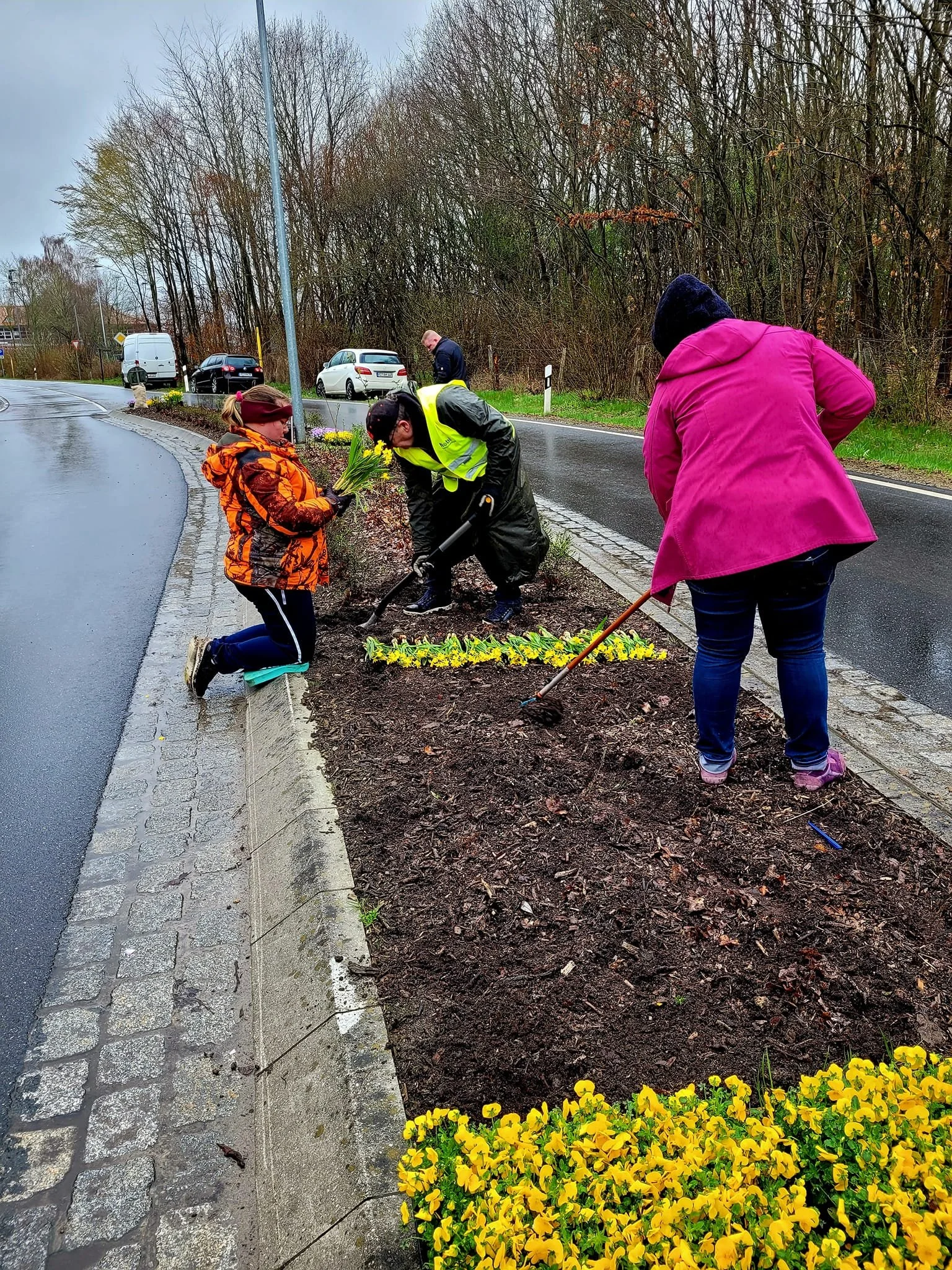 Bepflanzung Frühjahr 6.jpg
