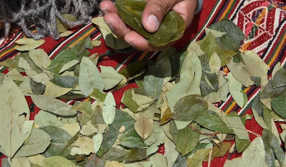 Coca Leaf Reading — Pumadventures