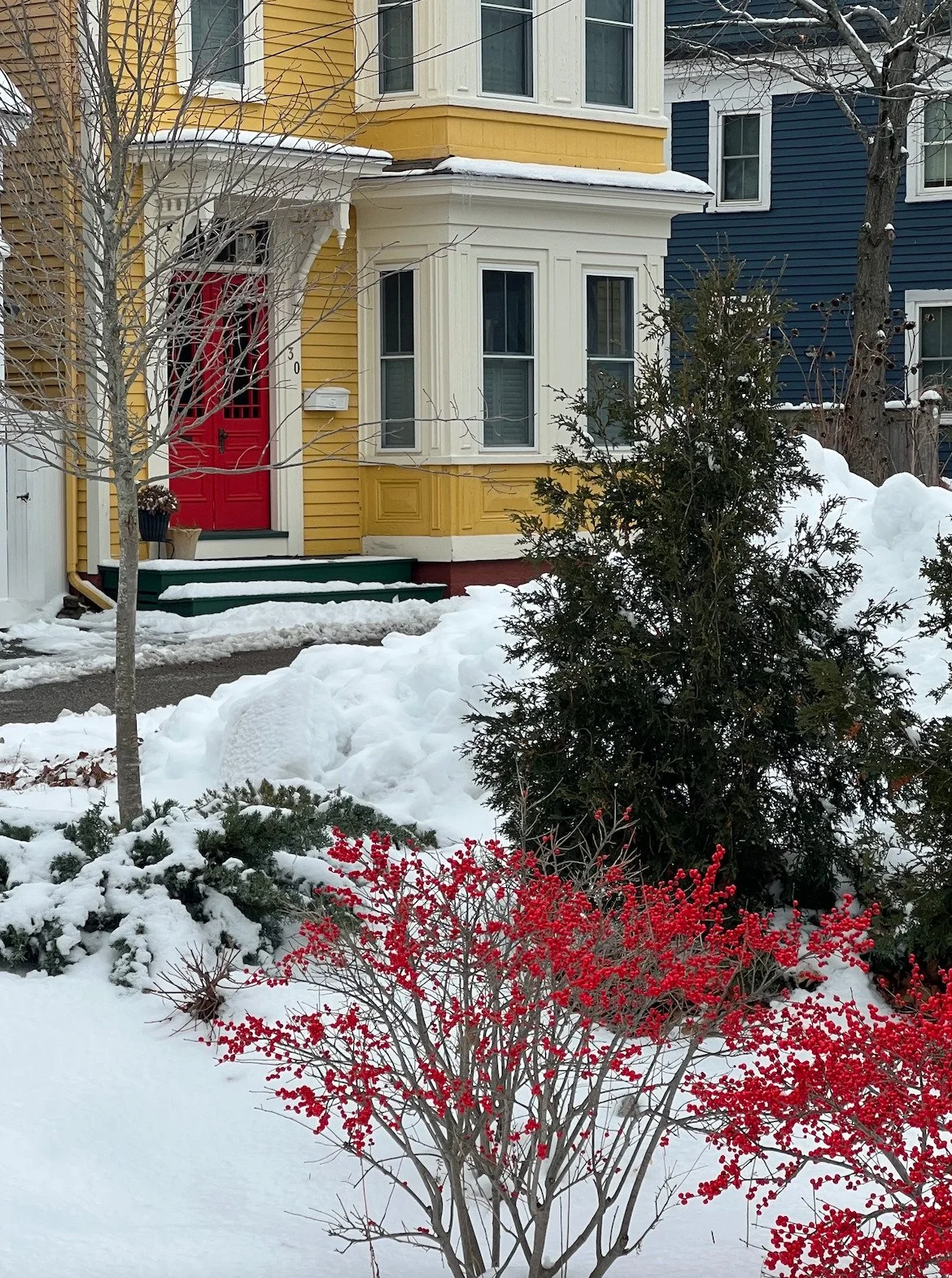 I love walking down Winter St. in Portsmouth. Each house is stunning, and the way this bush and front door are both screaming holiday red is pure joy. Getting into the season!