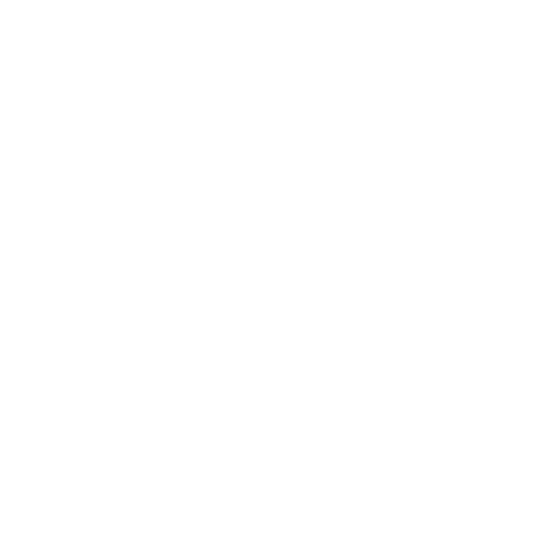 Standard Rec