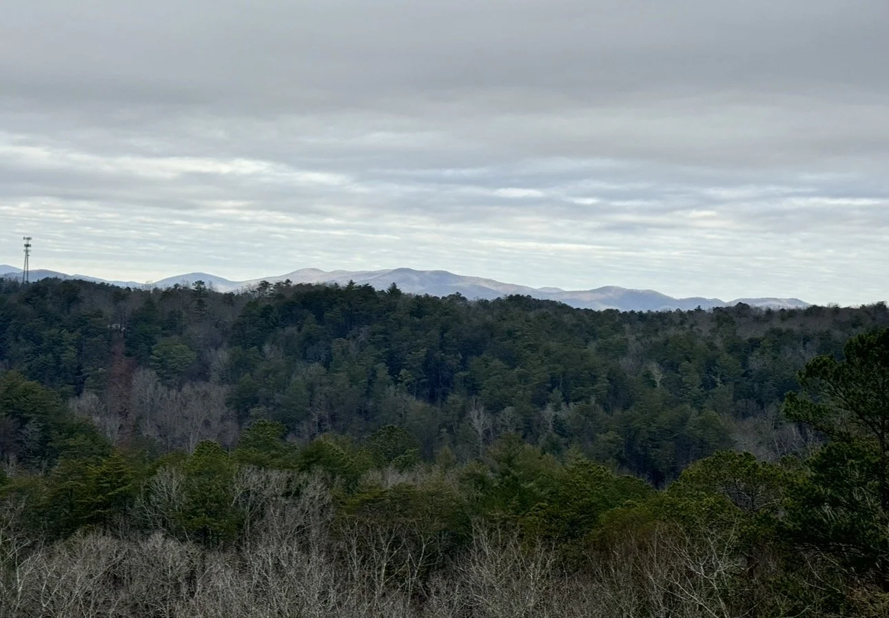 View from 2nd floor bedroom