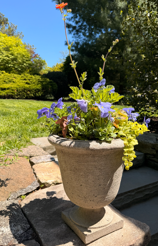 Spring Planters