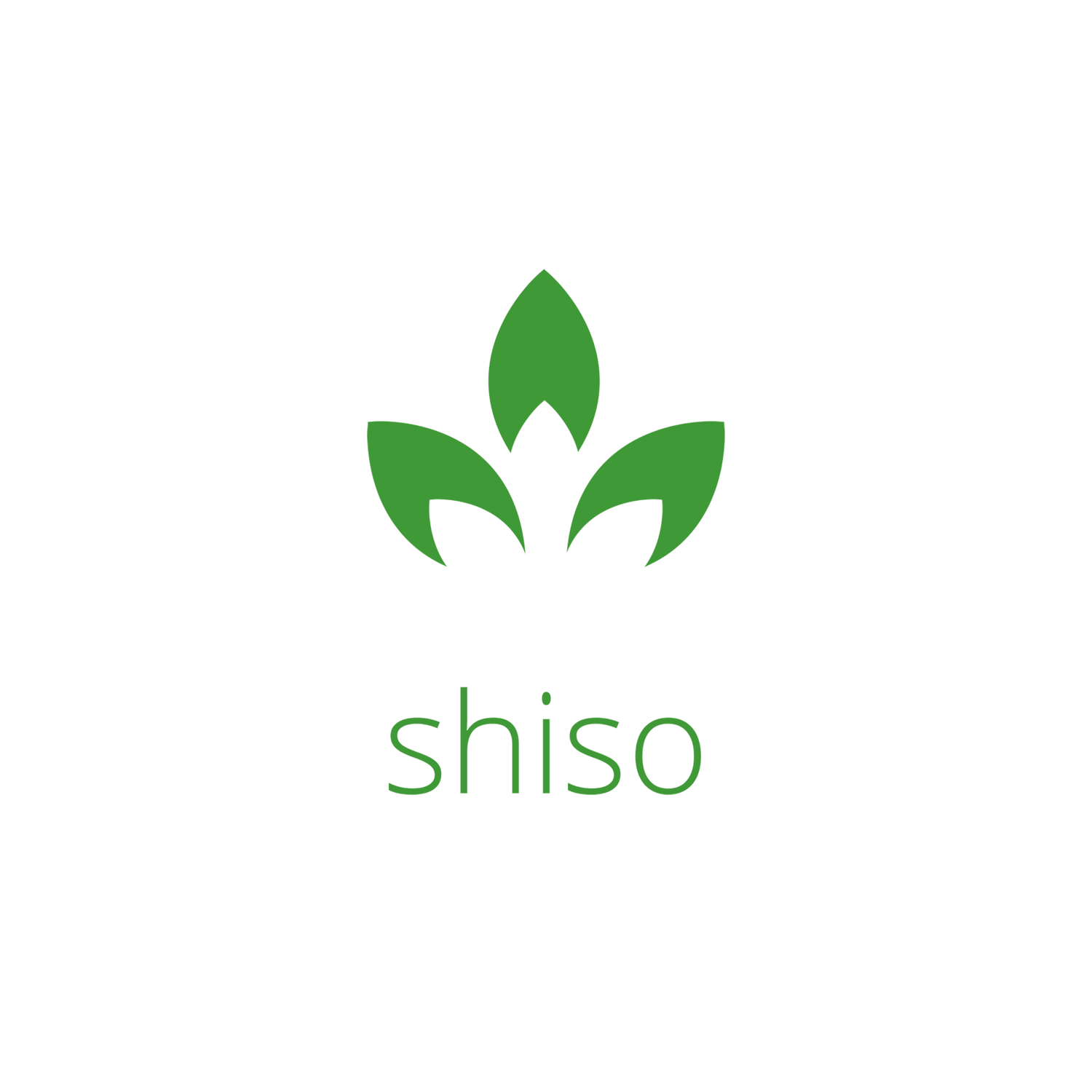 Shiso | An Intersectional Equity Consulting Firm