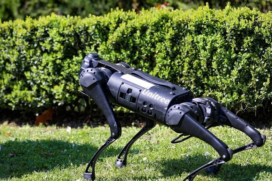 A woman and child interacting with a quadruped robot in a park setting, illustrating real-world human–robot interaction.