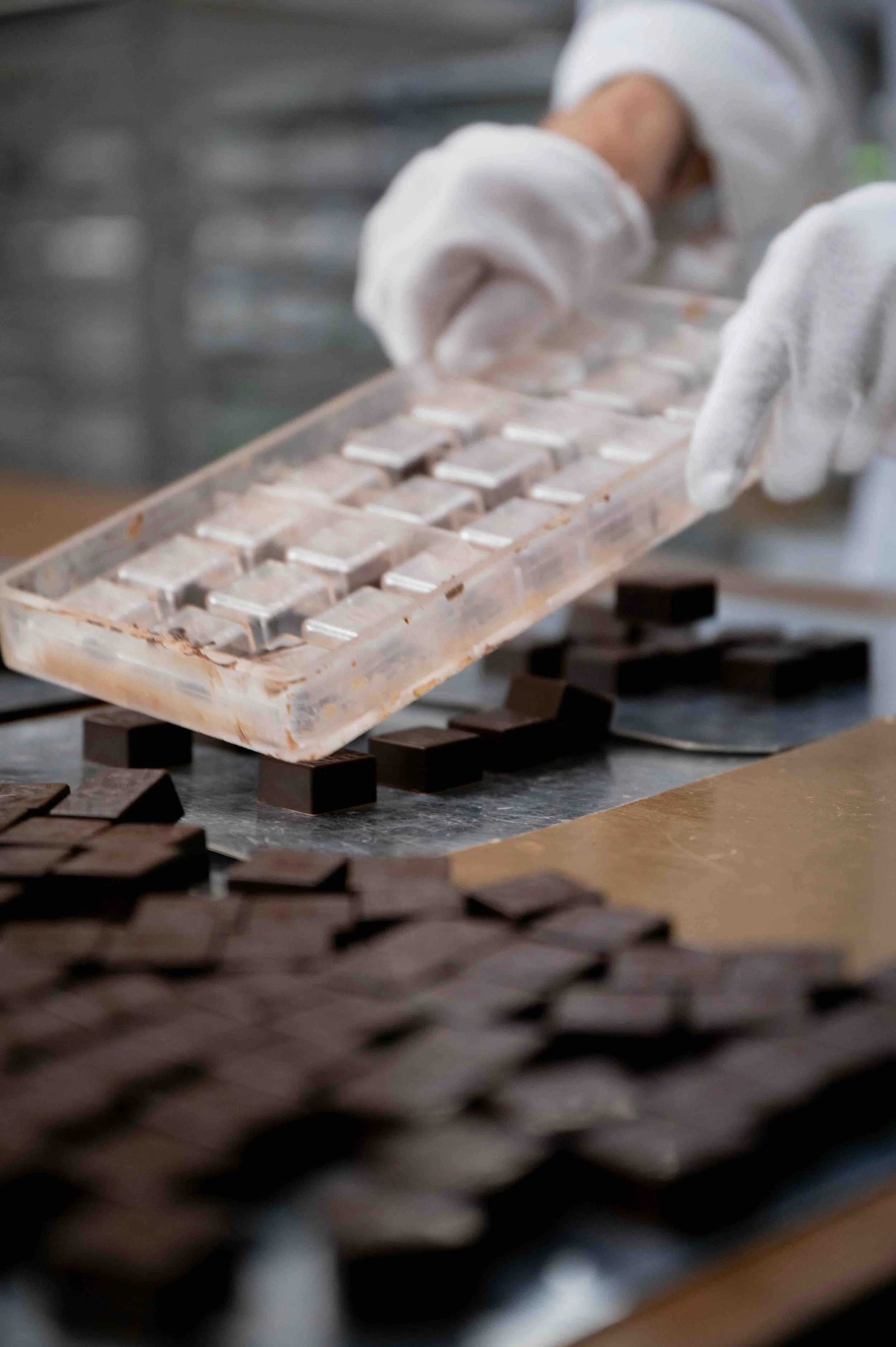Brussels, Belgium | Close-up of a chocolatier's gloved hands lifting a mould of dark chocolate pieces, with finished squares laid out below.