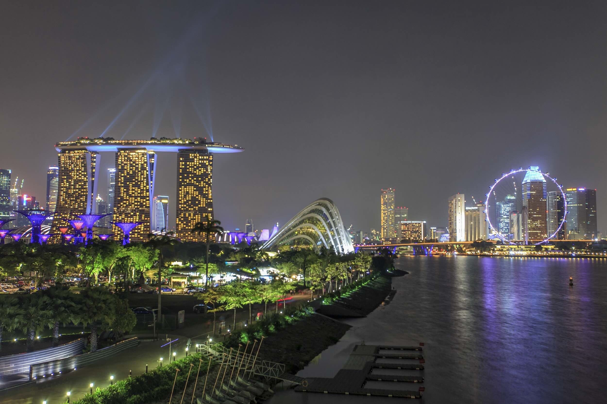 Singapore's skyline lights up over Marina Bay Sands and the Cloud Forest — the perfect finale to a day of sustainability learning. (