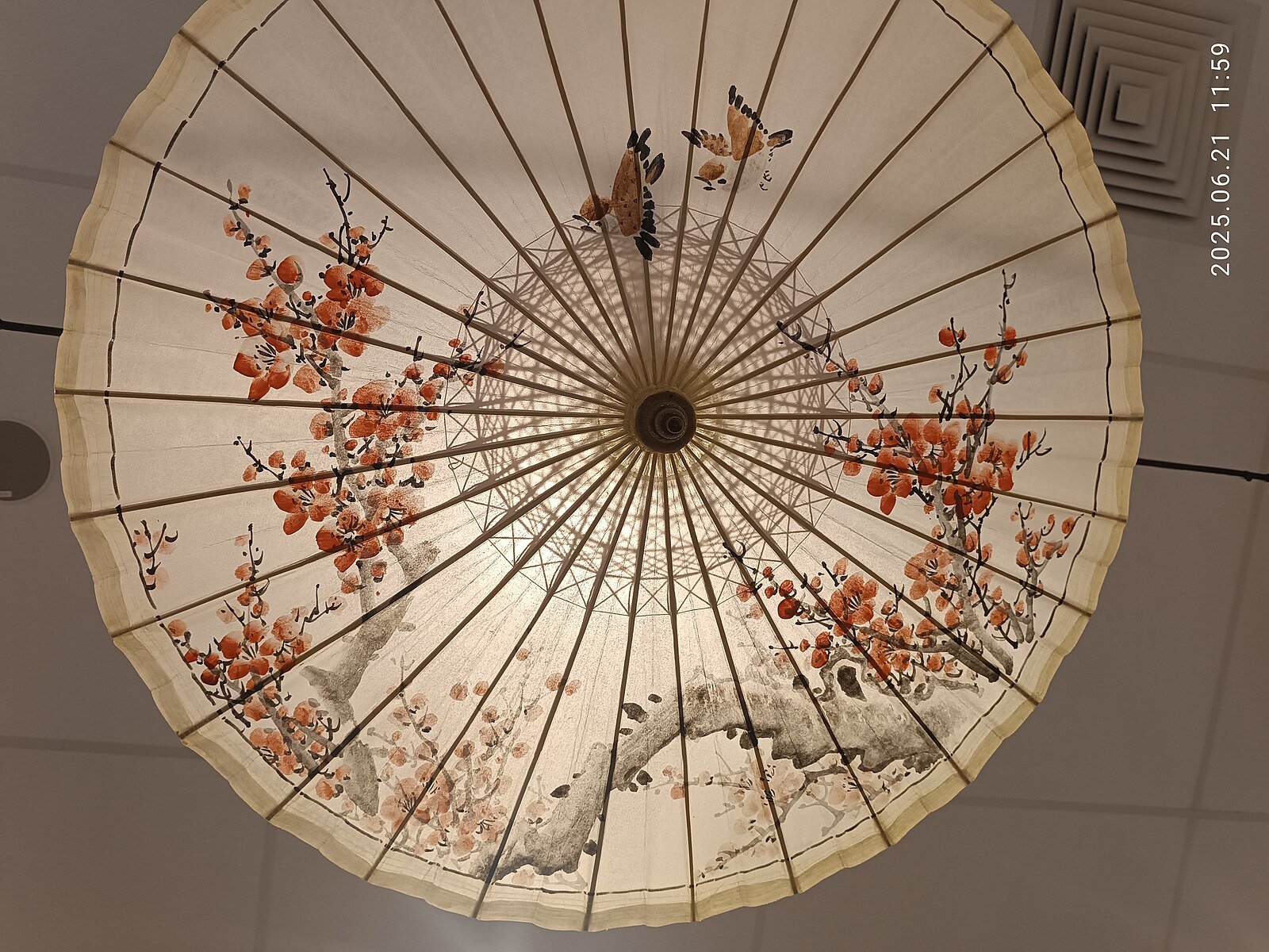 Students painting traditional Chinese oiled-paper umbrellas, blending cultural craftsmanship with colorful artistic designs.