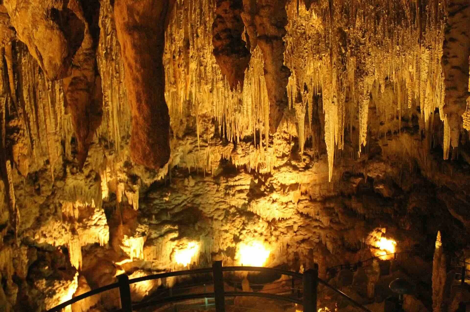 Illuminated stalactites and stalagmites inside Ngilgi Cave, Yallingup, Western Australia — explored by Libertas Travel Australian high school groups on curriculum-linked WA science and geography excursions.