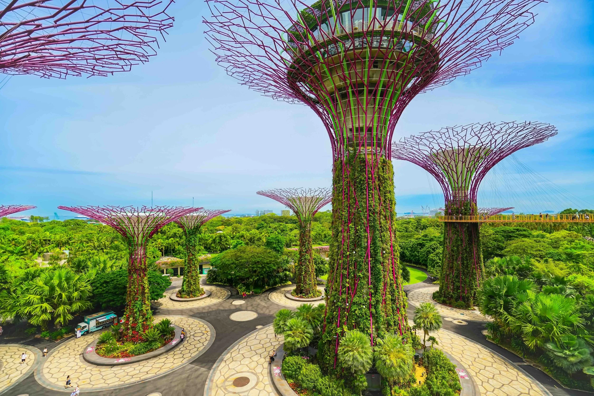 Towering Supertrees and the OCBC Skyway at Gardens by the Bay — a striking case study in sustainable urban design for STEM and HSIE students.