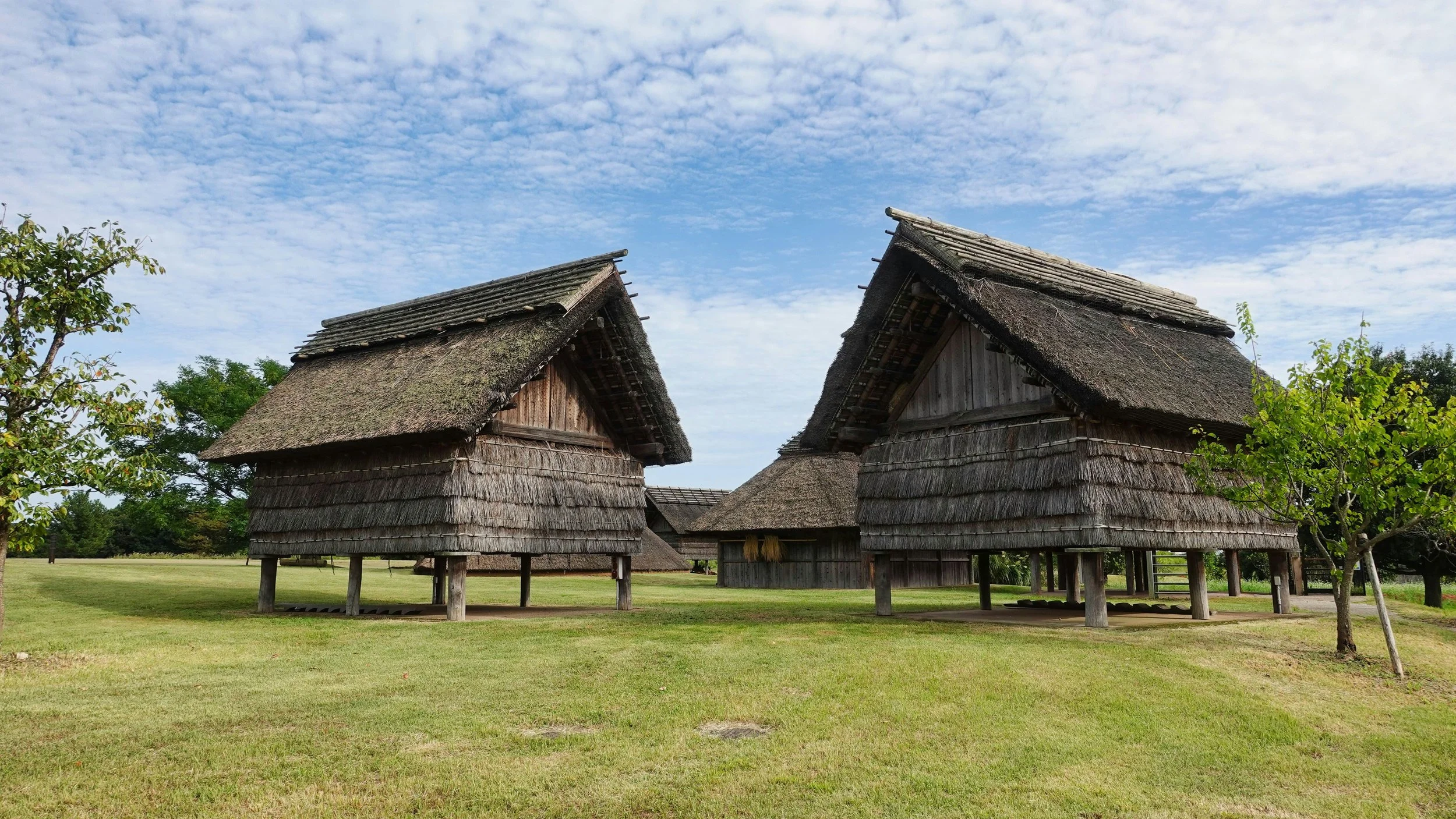 Reconstructed raised-floor granary storehouses at Yoshinogari Historical Park, Saga Prefecture, representing Yayoi period (c. 300 BCE–300 CE) architecture against a blue sky