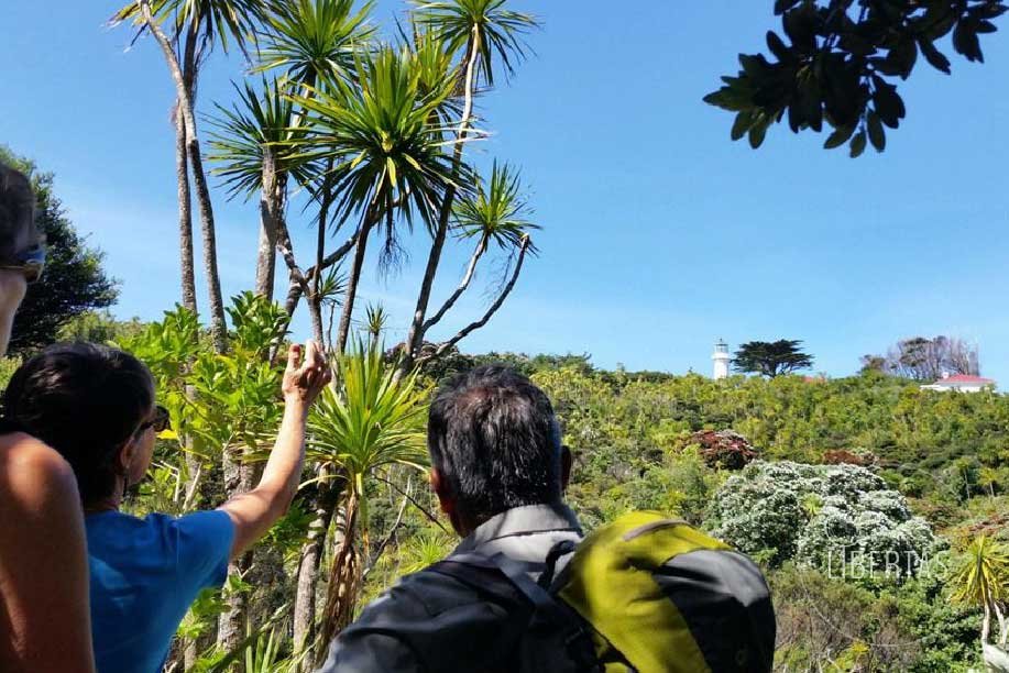 Tiritiri one of New Zealand's oldest island sanctuaries, Tiritiri Matangi is brimming with wildlife rarely seen on the mainland, so students can gain first-hand knowledge of these threatened species and our country's conservation history.