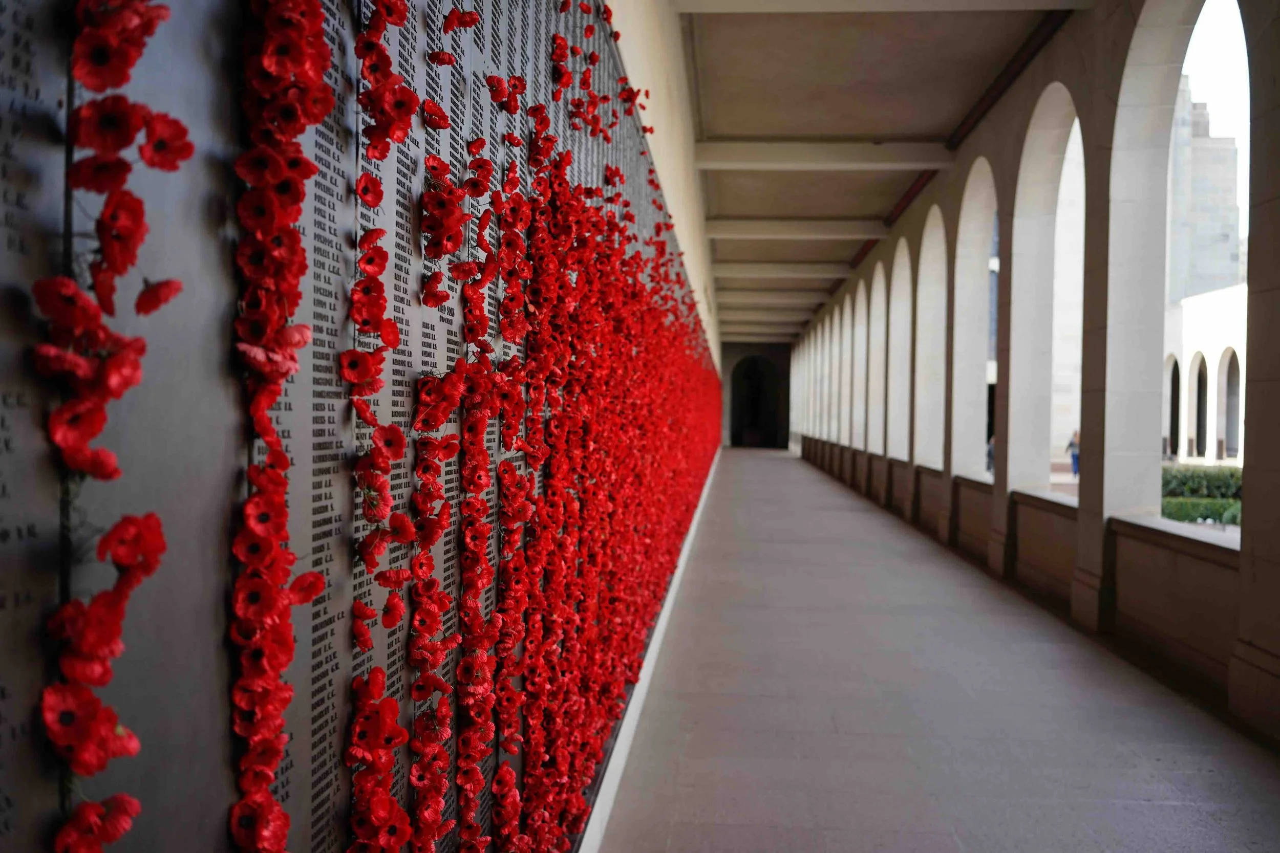 Thousands of red poppies placed on the Roll of Honour at the Australian War Memorial, Canberra — a profound History and ANZAC studies experience on Libertas Travel's Canberra high school excursions.