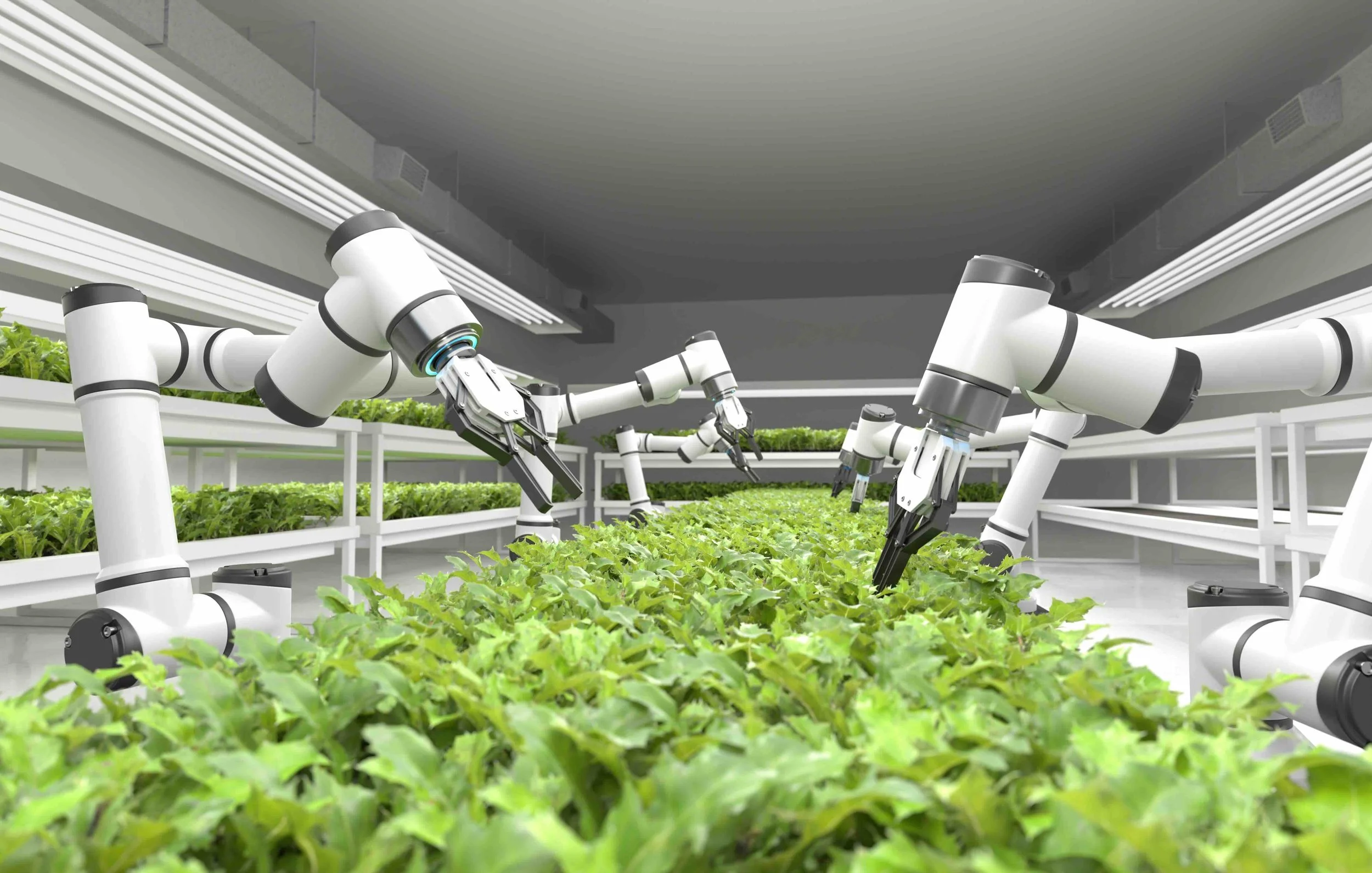 5 | Day 2, Tokyo | Robotic arms tending rows of leafy greens in an automated vertical farm — illustrates Japan's application of robotics and AI beyond industry, tying into the innovation themes at Miraikan and Kawasaki Robospace. Robotics and AI in a