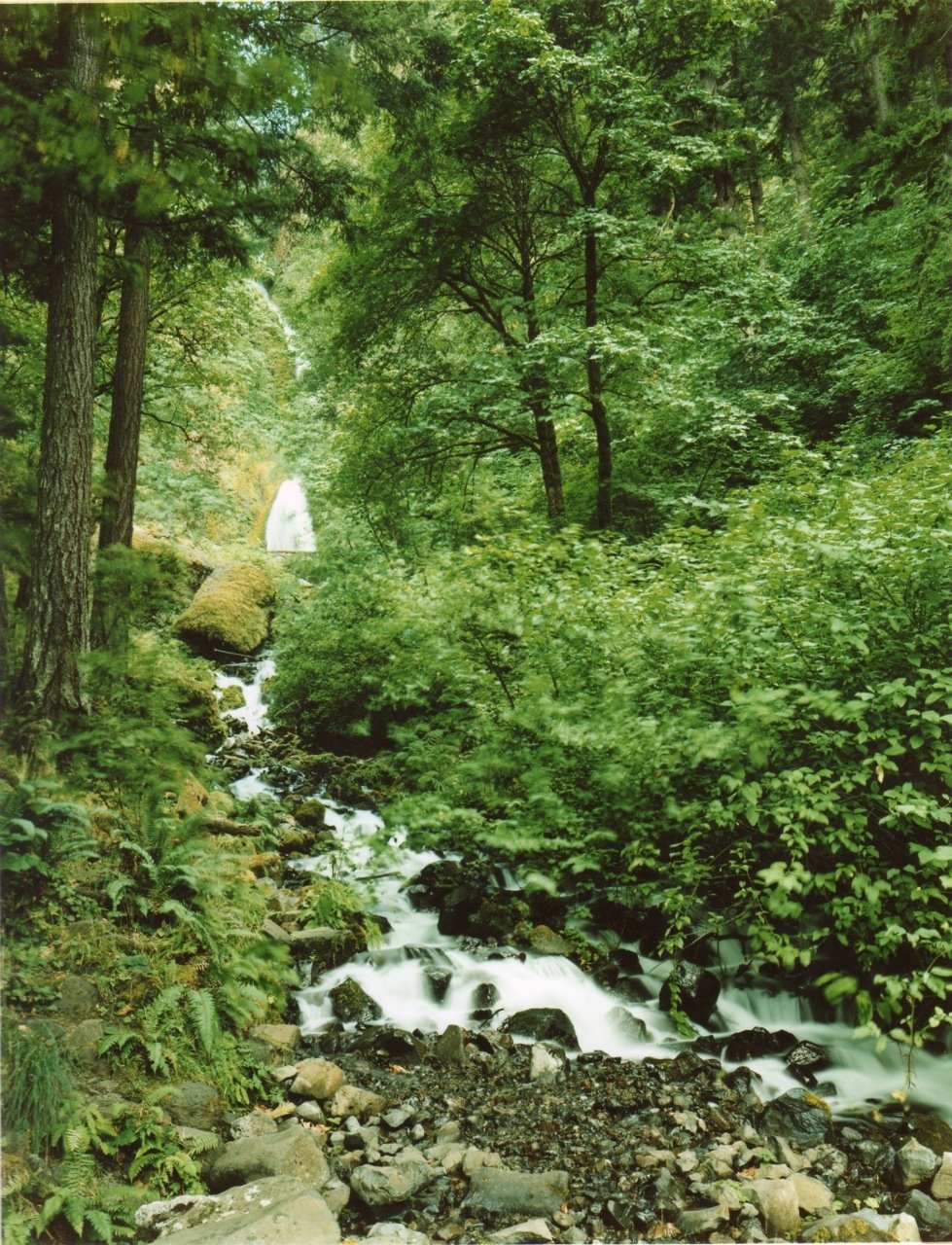  Lower Wahkeenah Falls 