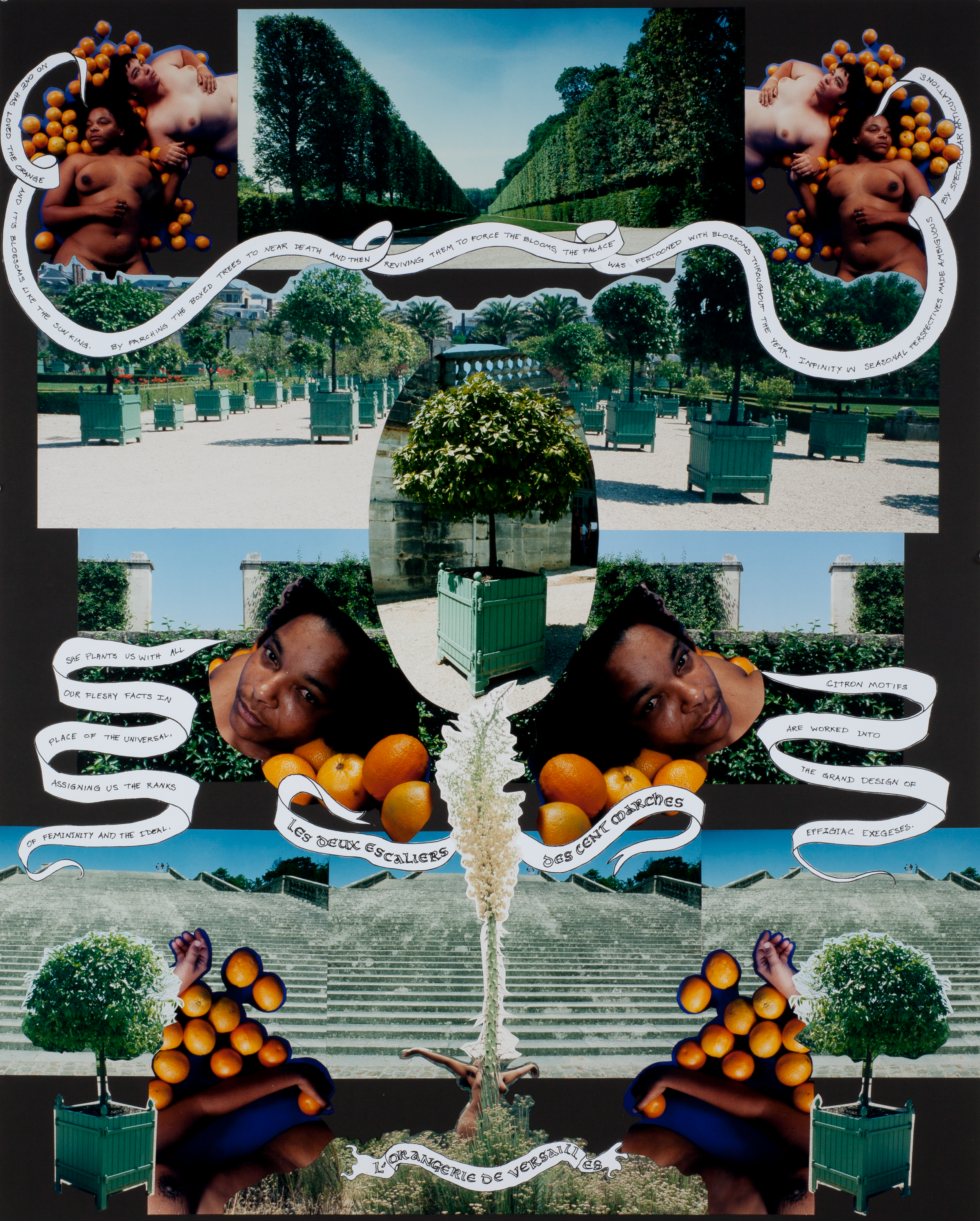 Orangerie at Versailles