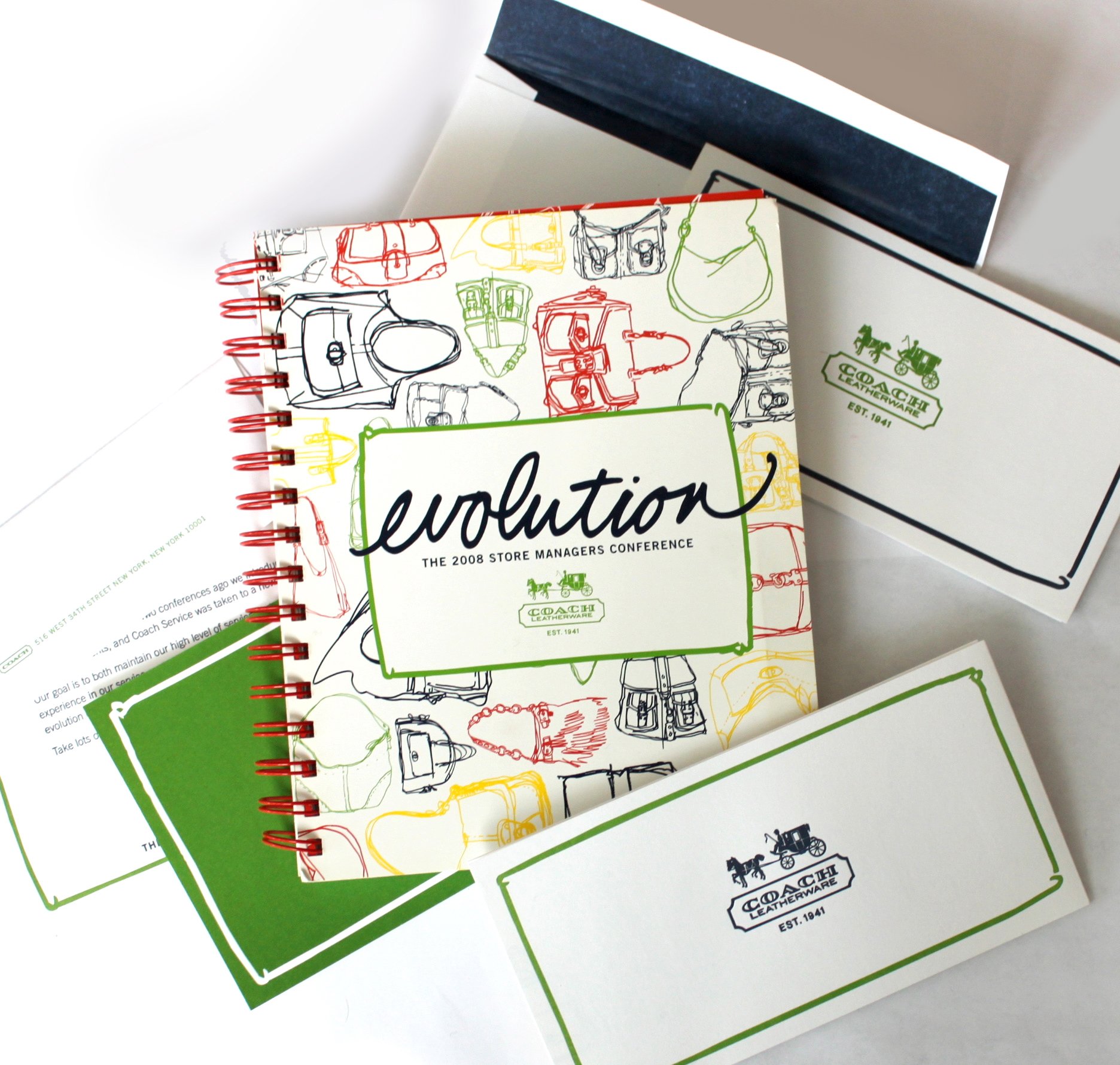 Evolution suite.jpg