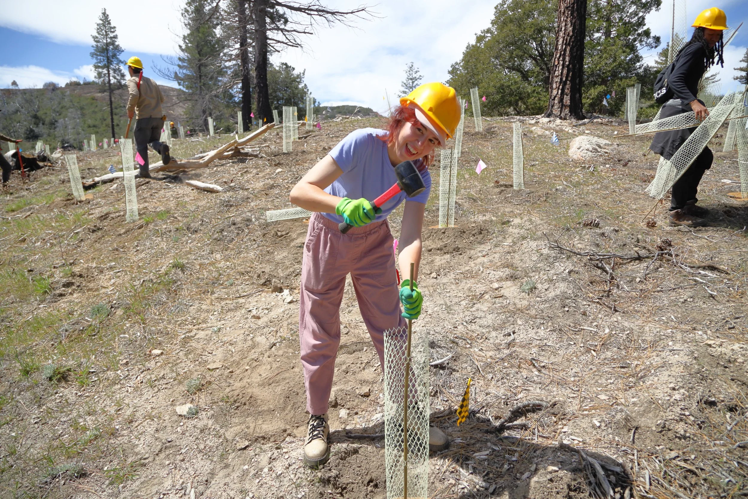 americorps_usfs_00143.JPG
