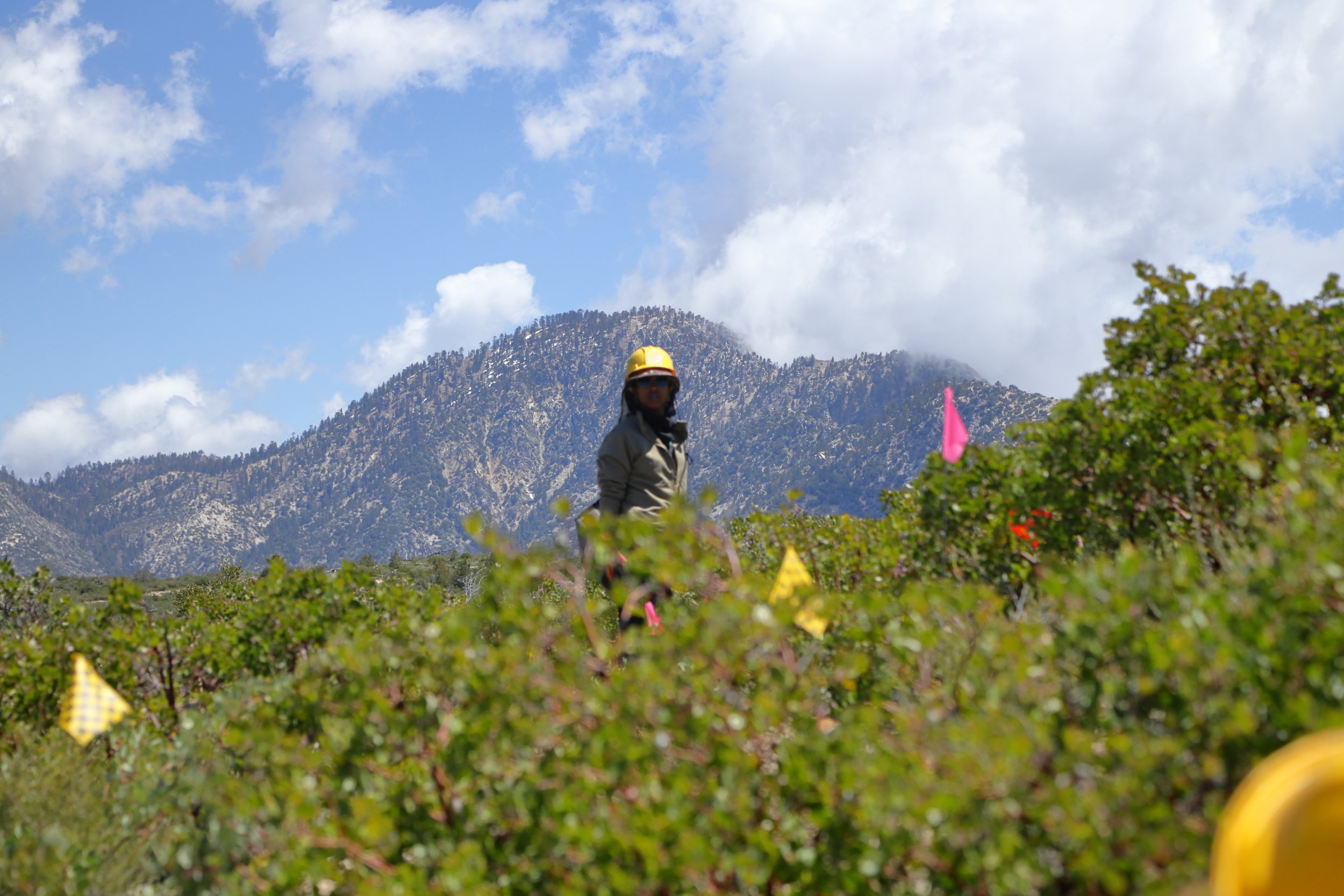 americorps_usfs_00246.JPG