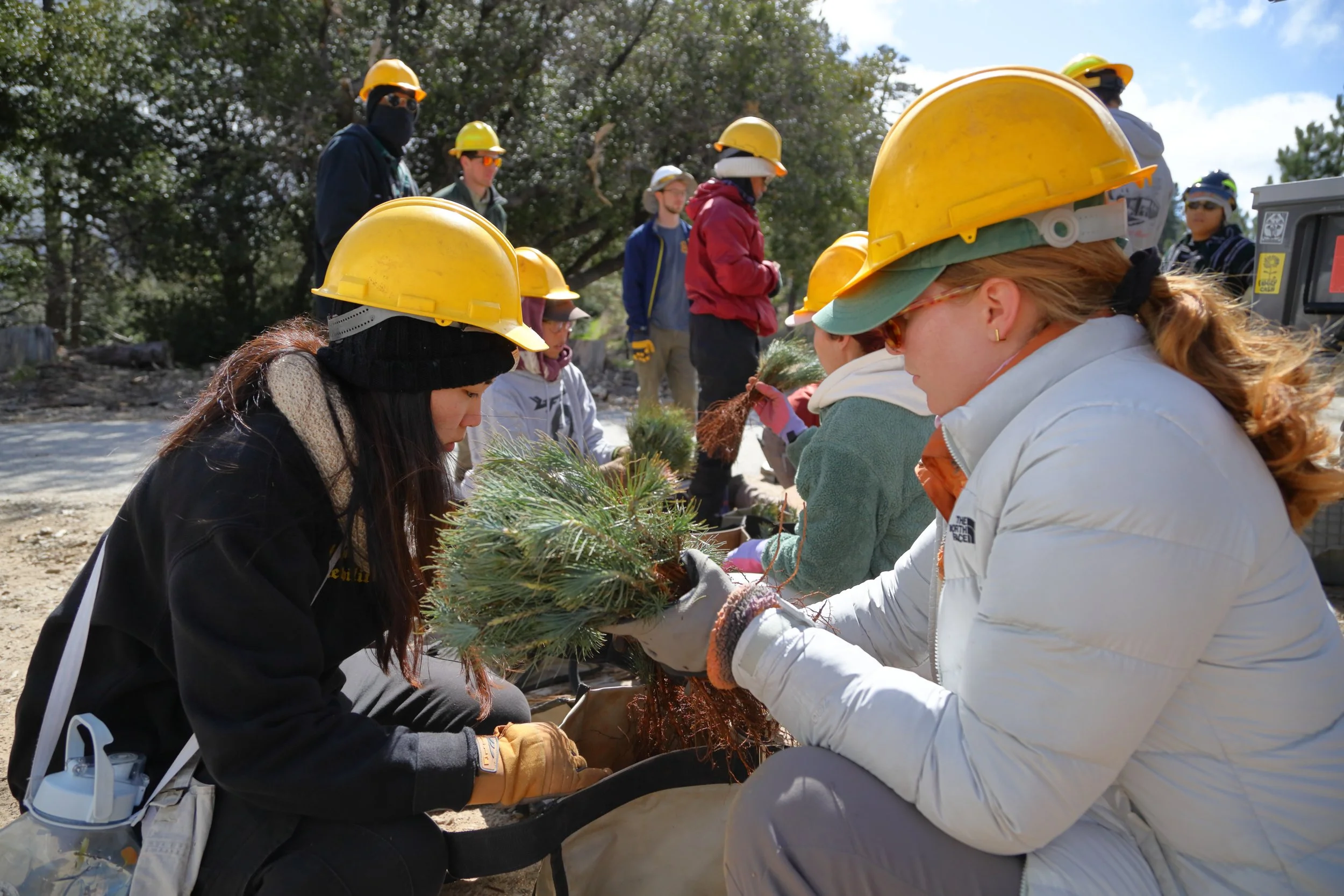 americorps_usfs_00185.JPG