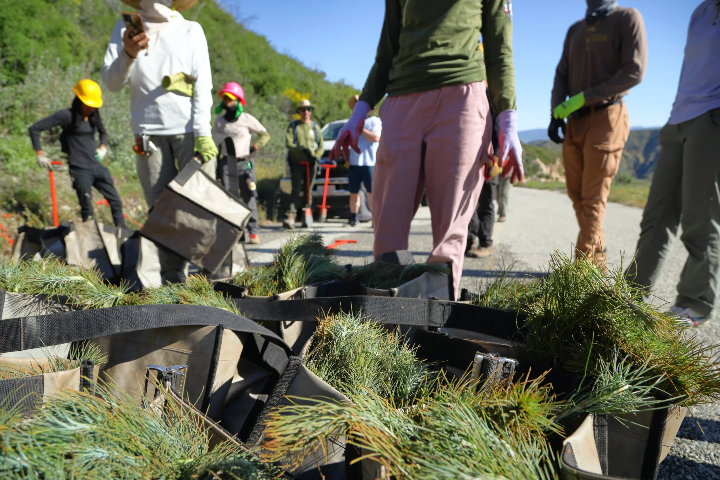 americorps_usfs_00273.JPG