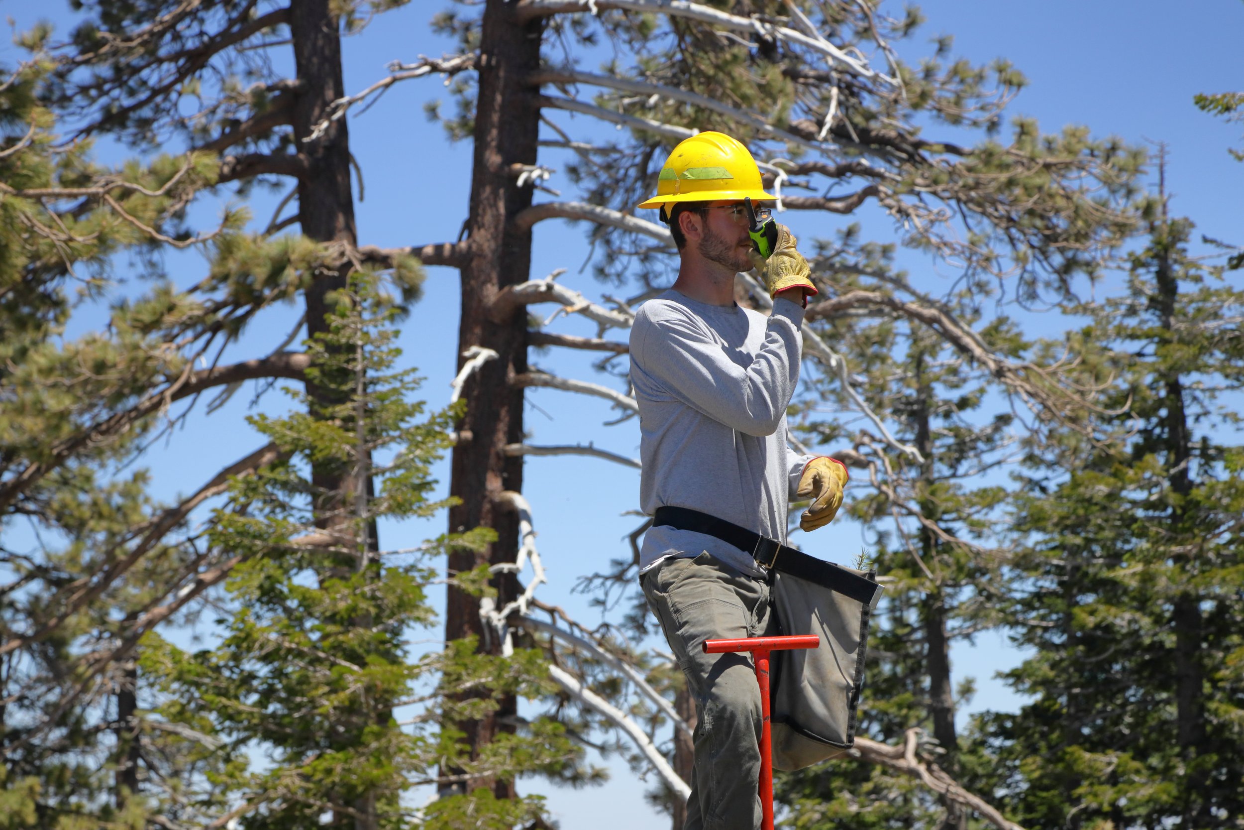 americorps_usfs_00298.JPG