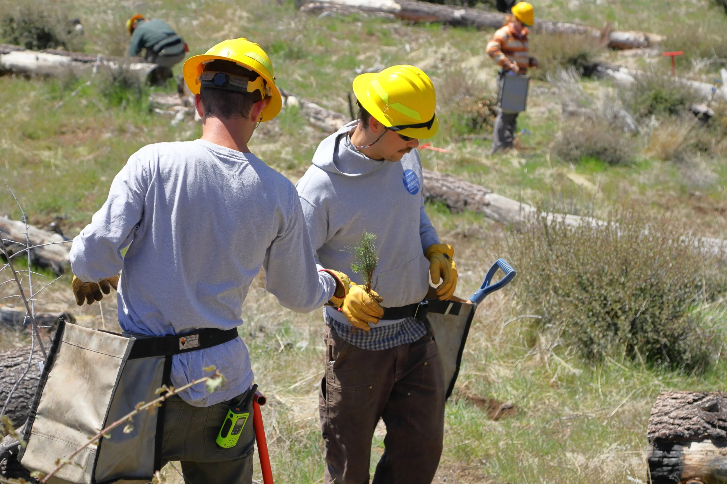 americorps_usfs_00194.JPG