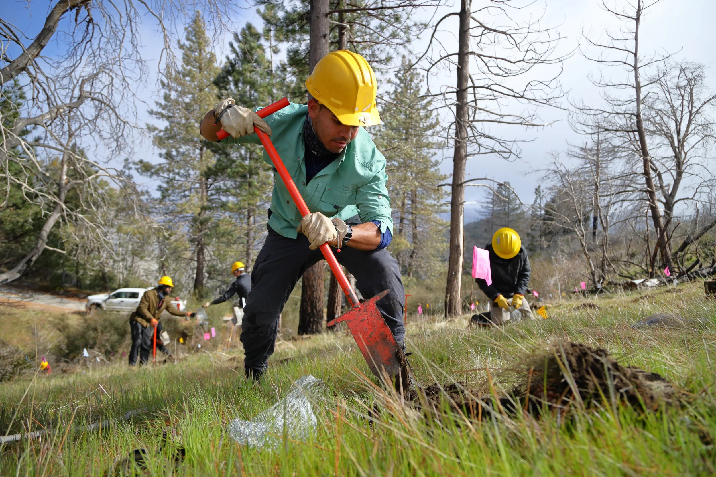 americorps_usfs_00028.JPG