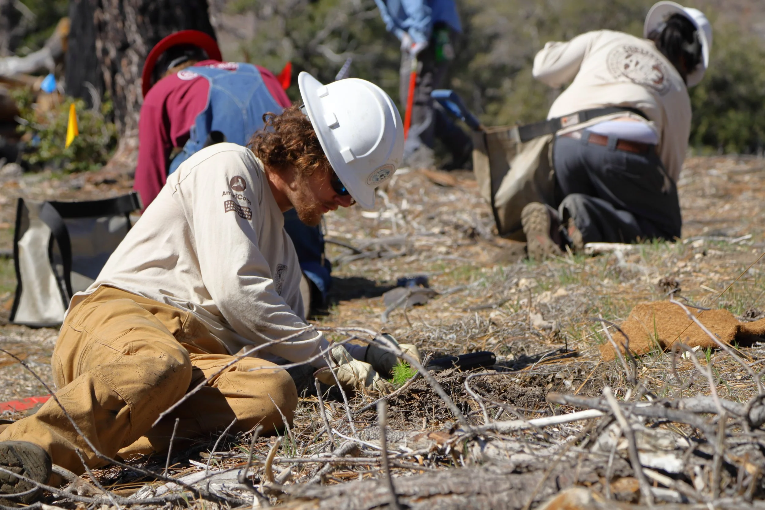 americorps_usfs_00131.JPG