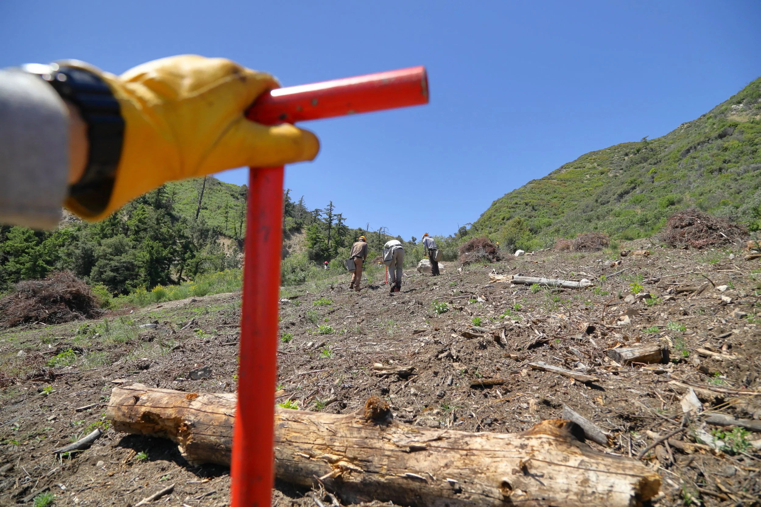 americorps_usfs_00286.JPG
