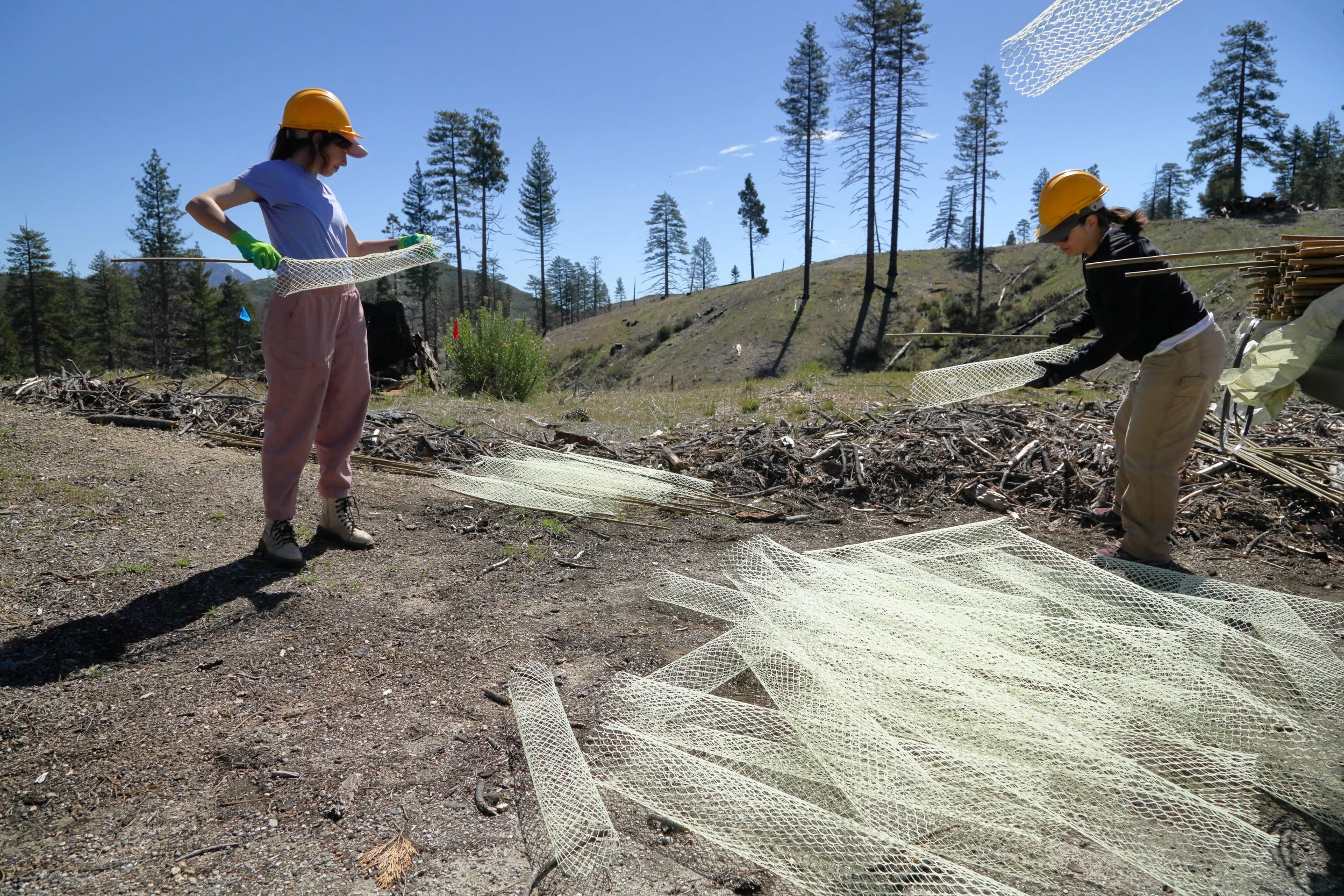 americorps_usfs_00136.JPG