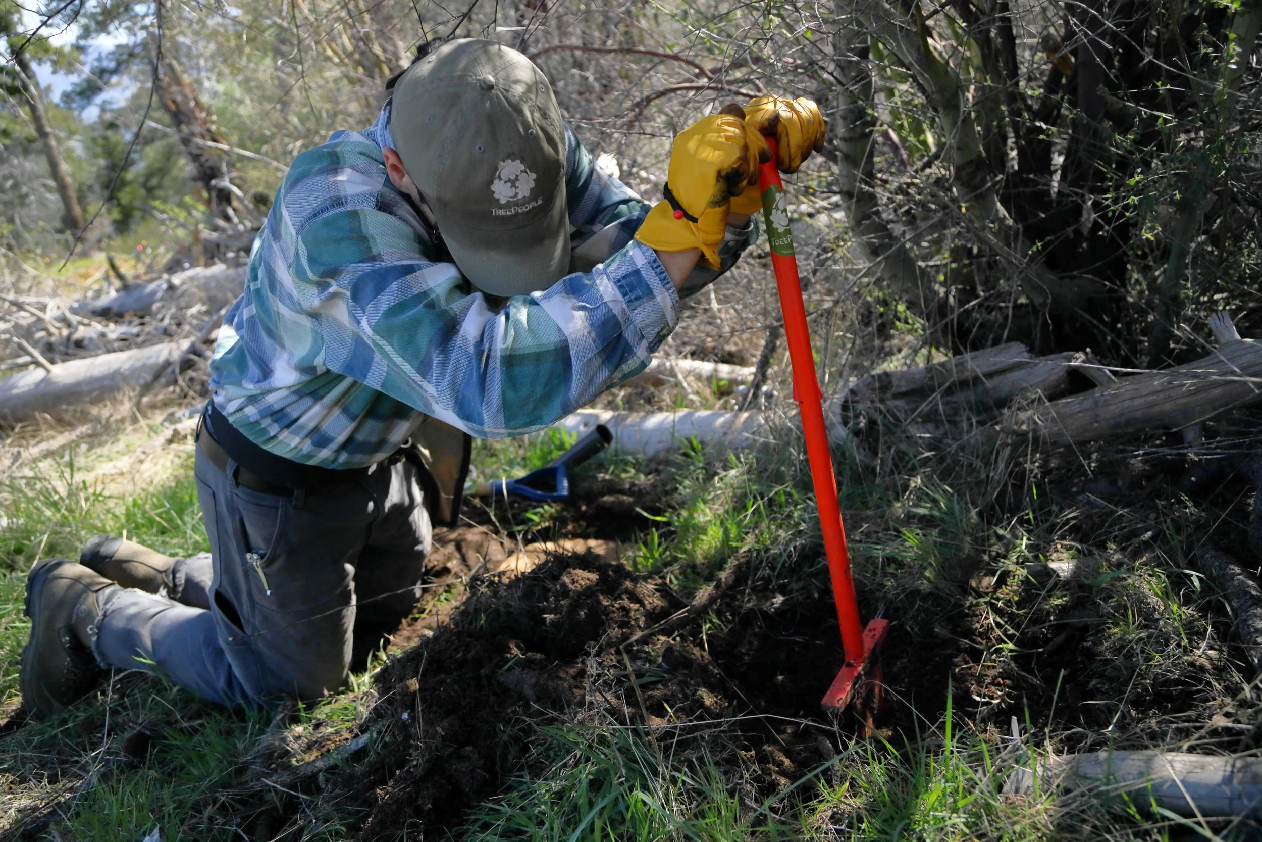 americorps_usfs_00089.JPG