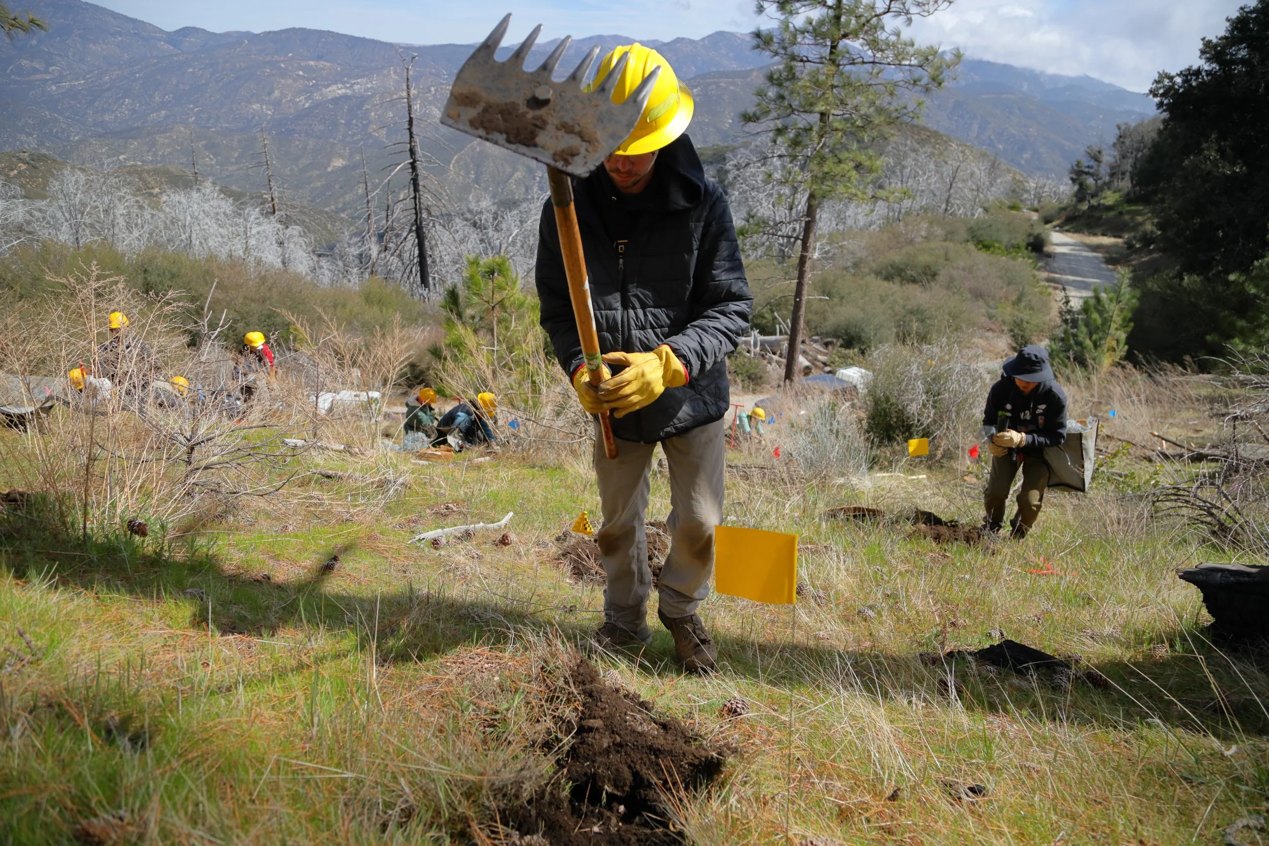 americorps_usfs_00051.JPG