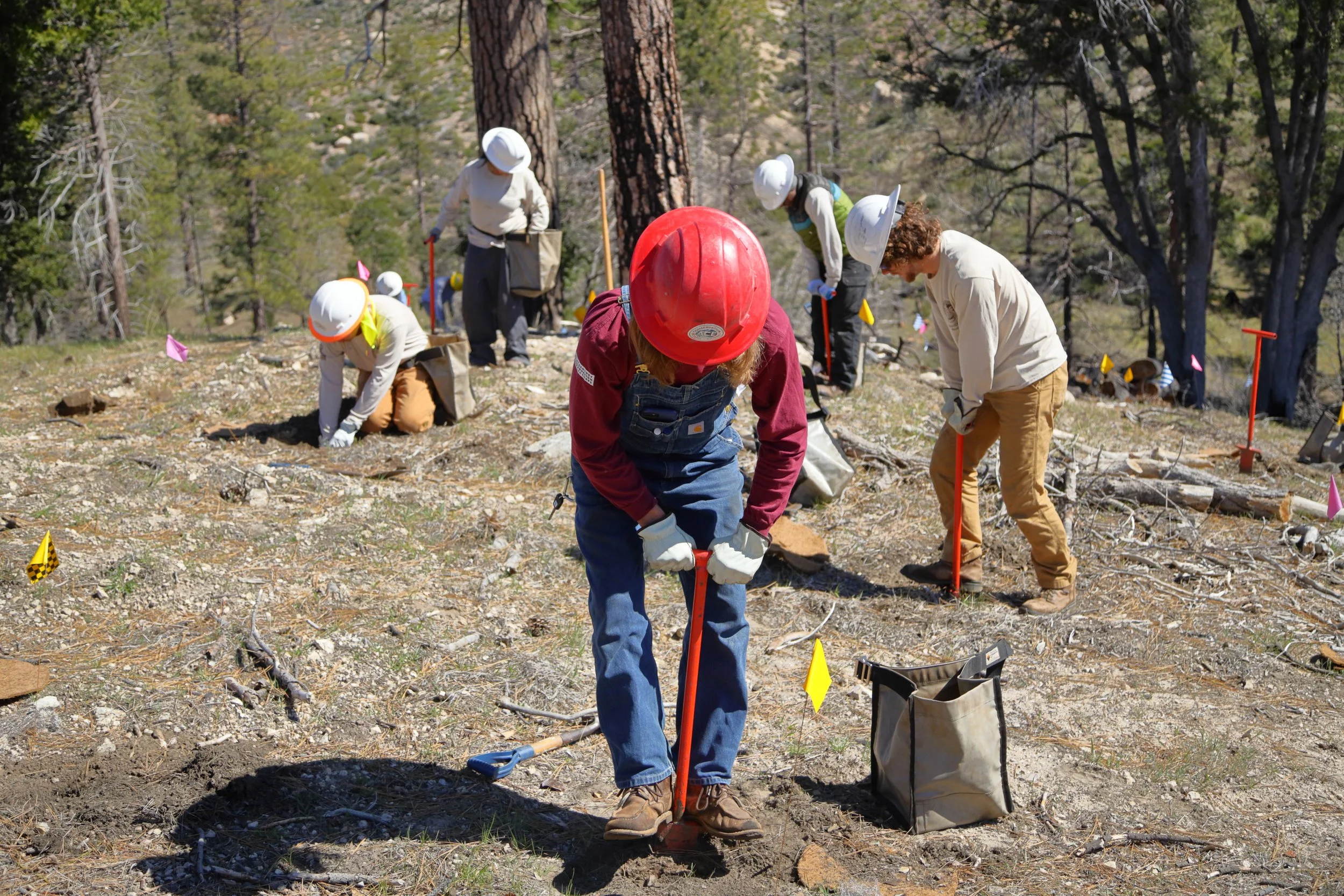 americorps_usfs_00130.JPG